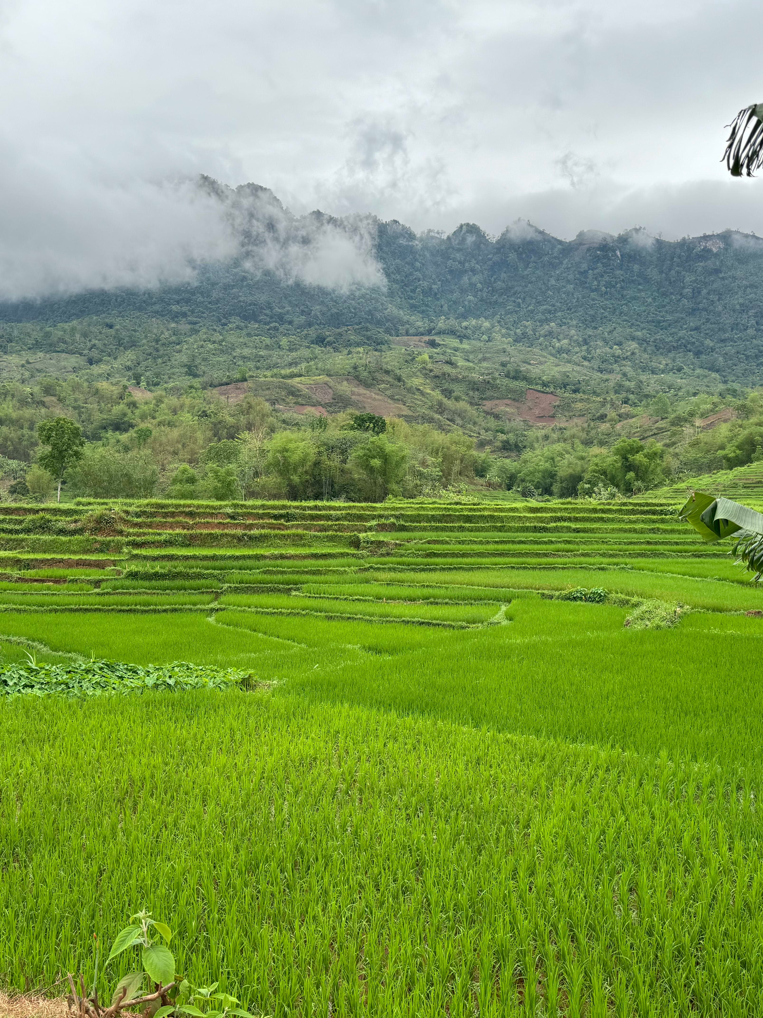 The Ultimate Travel Guide to Vietnam: Culture, Cuisine & Hidden Gems curated by Caroline Sedita
