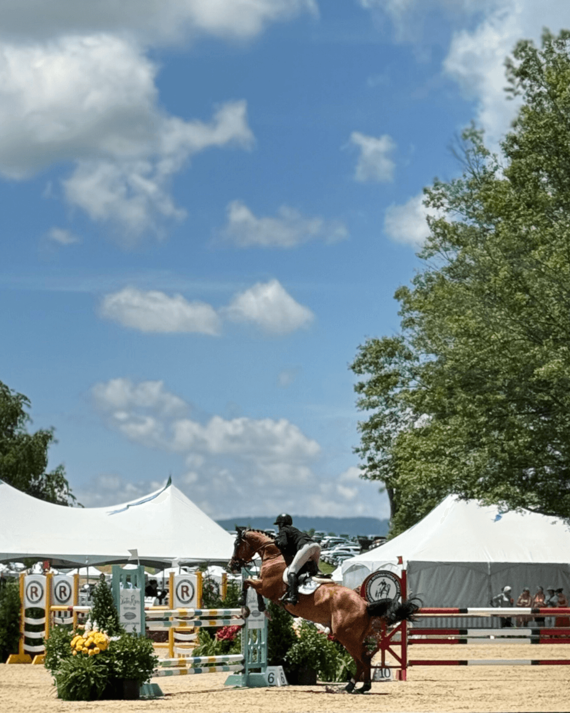 A Weekend in Virginia's Horse Country: Escape to Middleburg, VA curated by Erin Hood