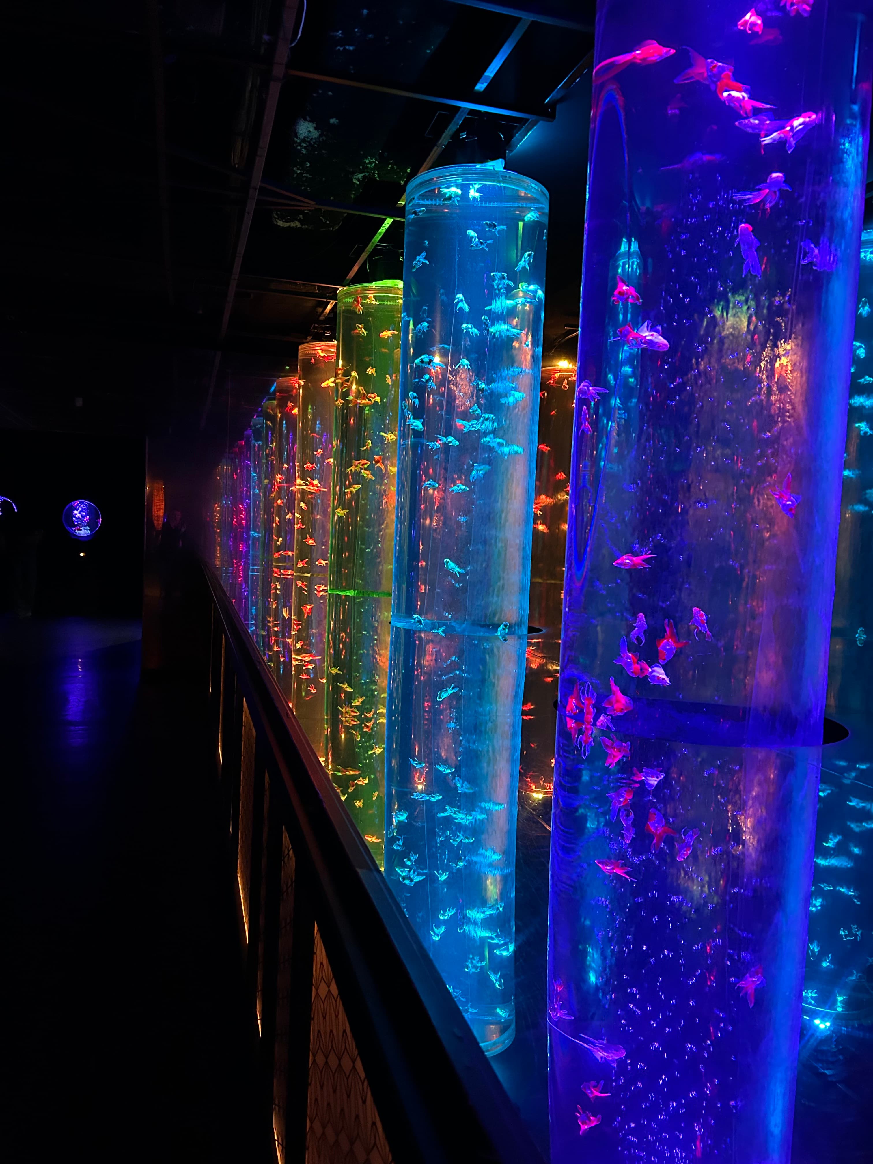 Globally Gluten-Free: Greater Tokyo curated by Nancy Sherry Baker