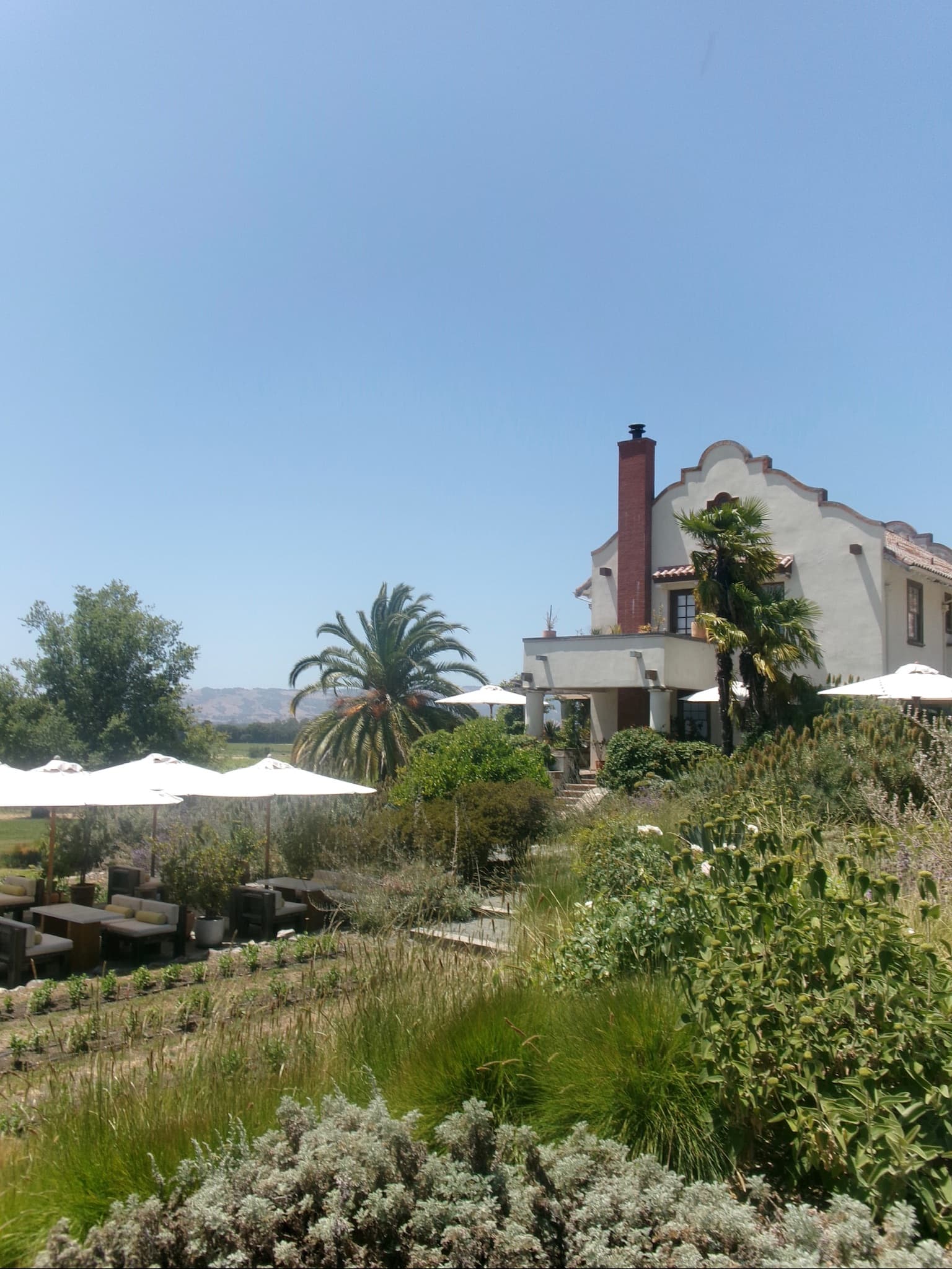 Uncorking Memories: A Napa Valley Escape for Two Generations curated by Angela Tucker