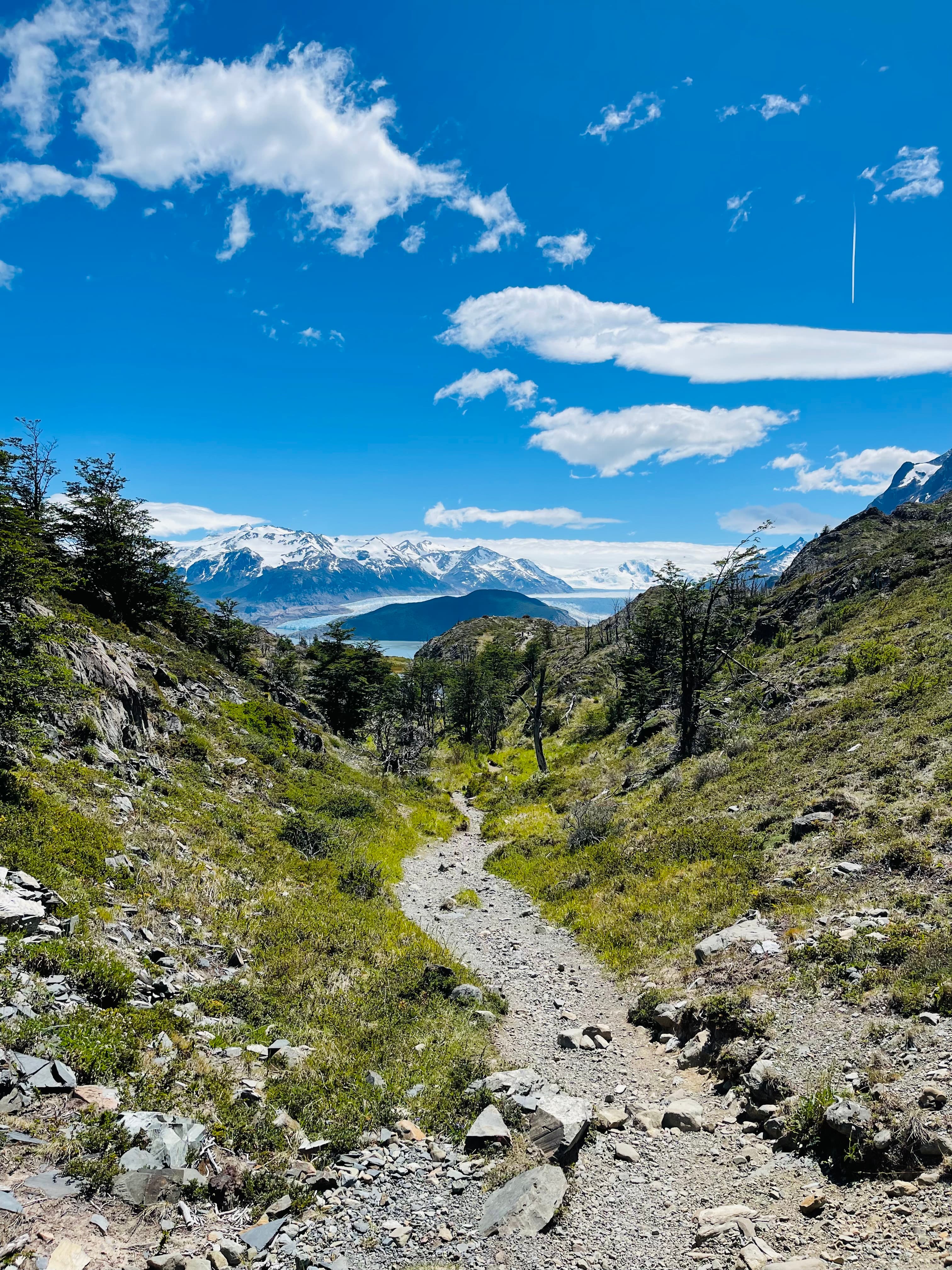 A Transformative Five-Day W Trek Through Patagonia: Torres del Paine National Park curated by Marisha Bailey