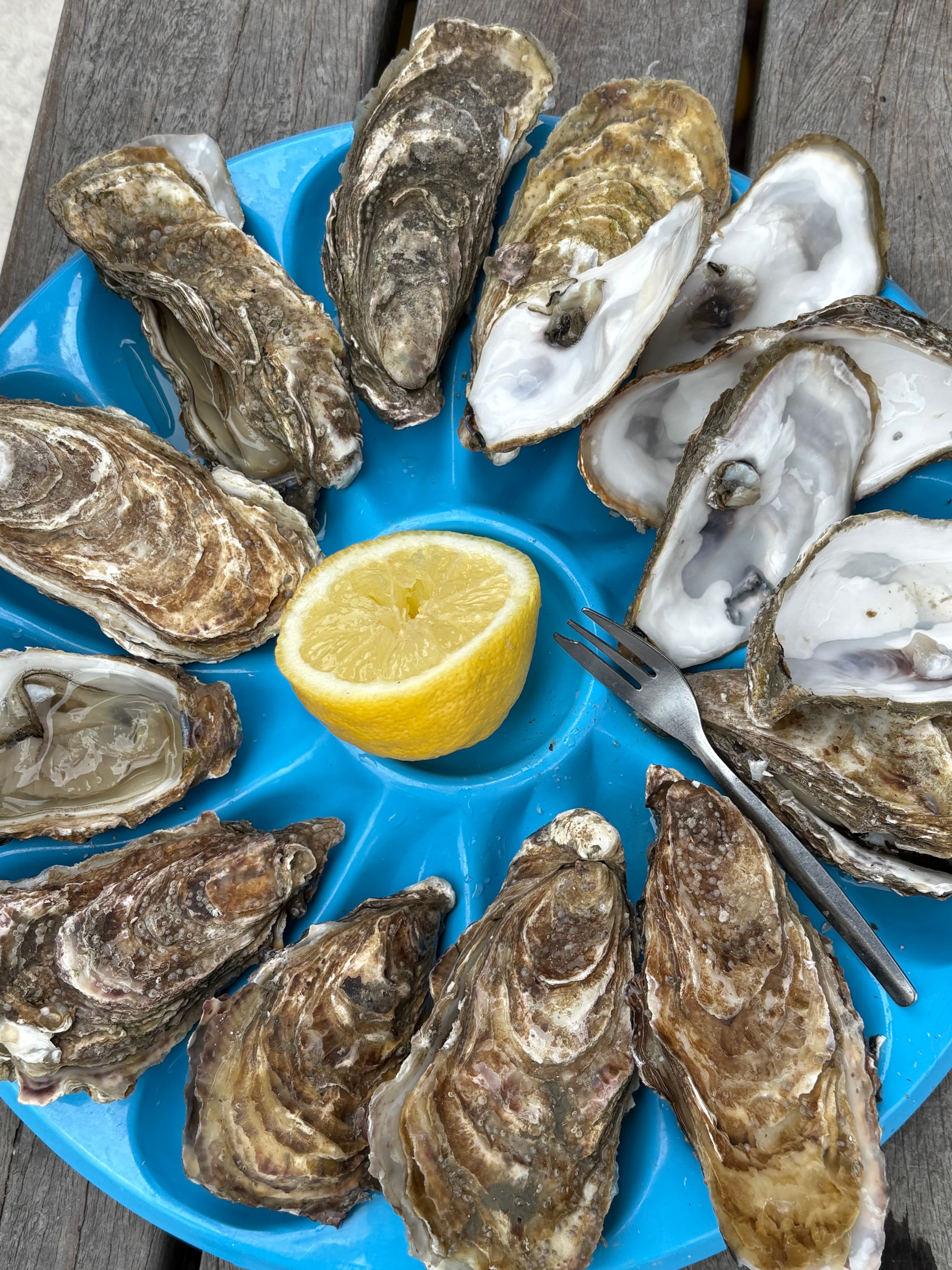 Brittany & Beyond: Three Generations, One Story curated by Norma Kroeger