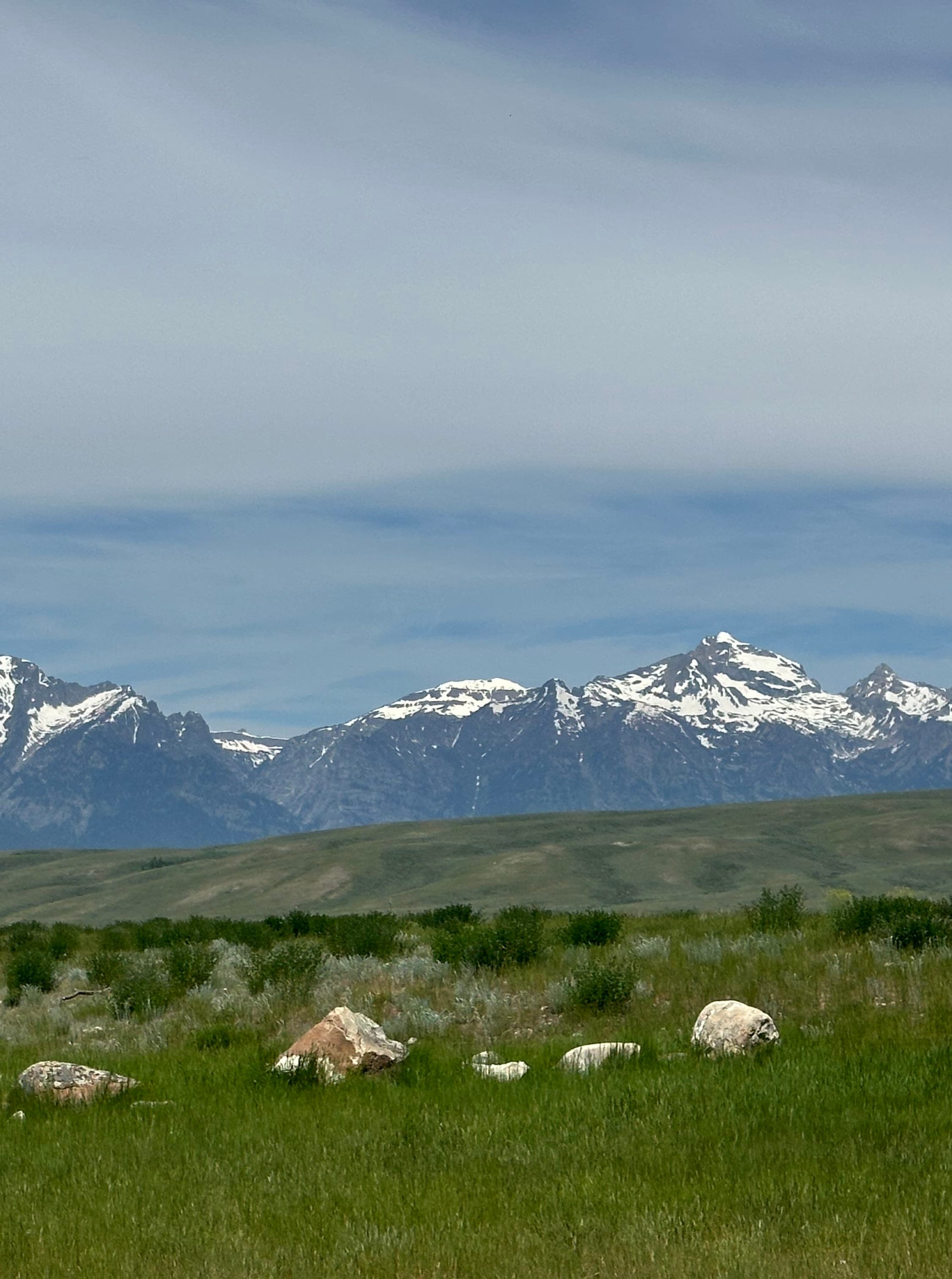 The Great Outdoors: Exploring the Grand Tetons and Yellowstone in Style curated by Angela Weil