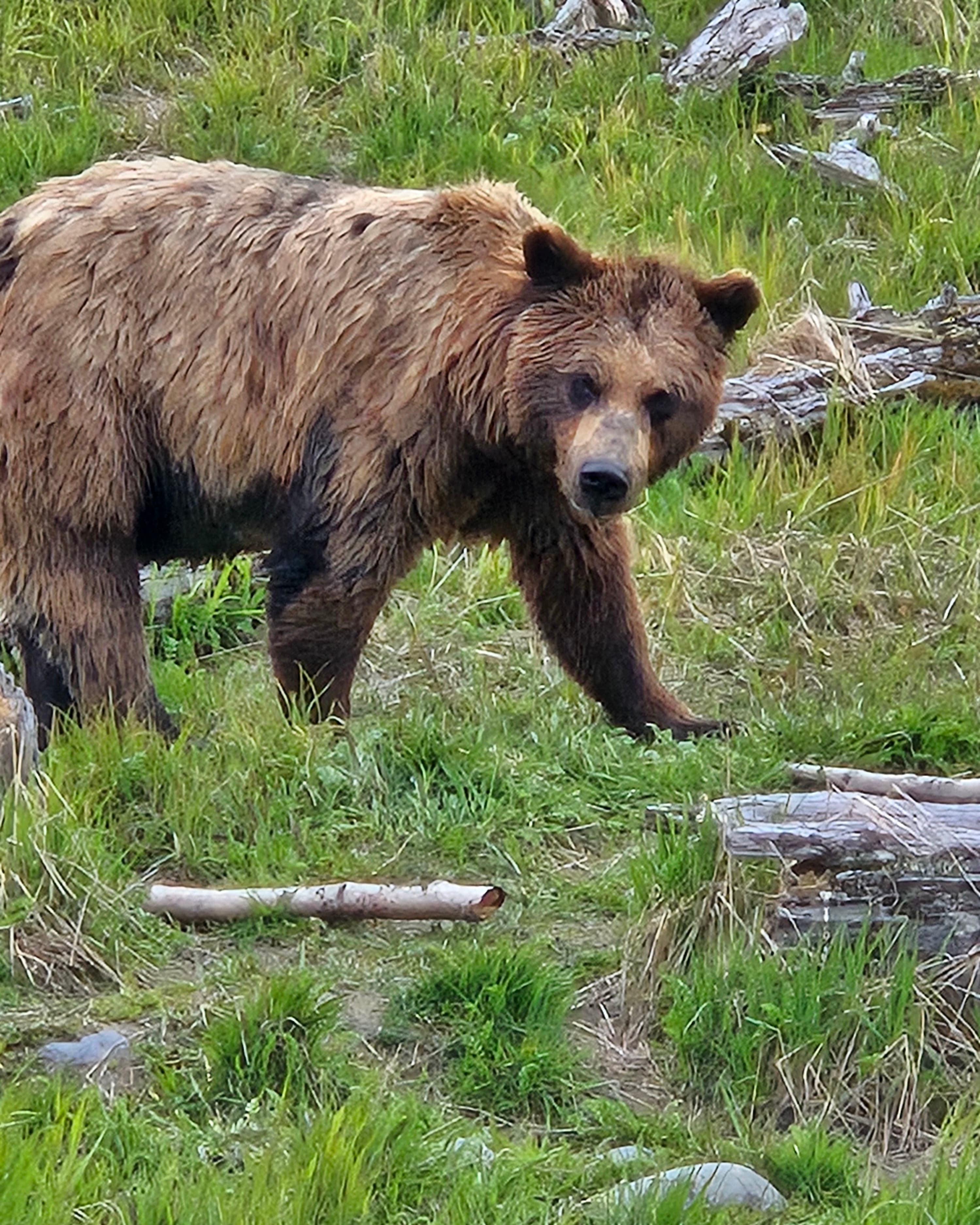 The Last Frontier: A Guide to Alaska with Kids curated by Josie Egbert