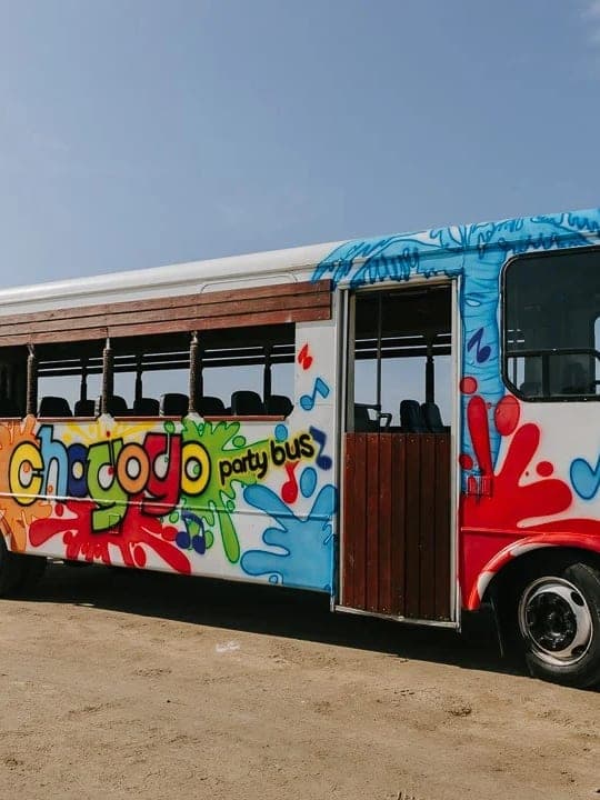 Aruba Private Tour with Chogogo Aruba curated by Clifford Seymour