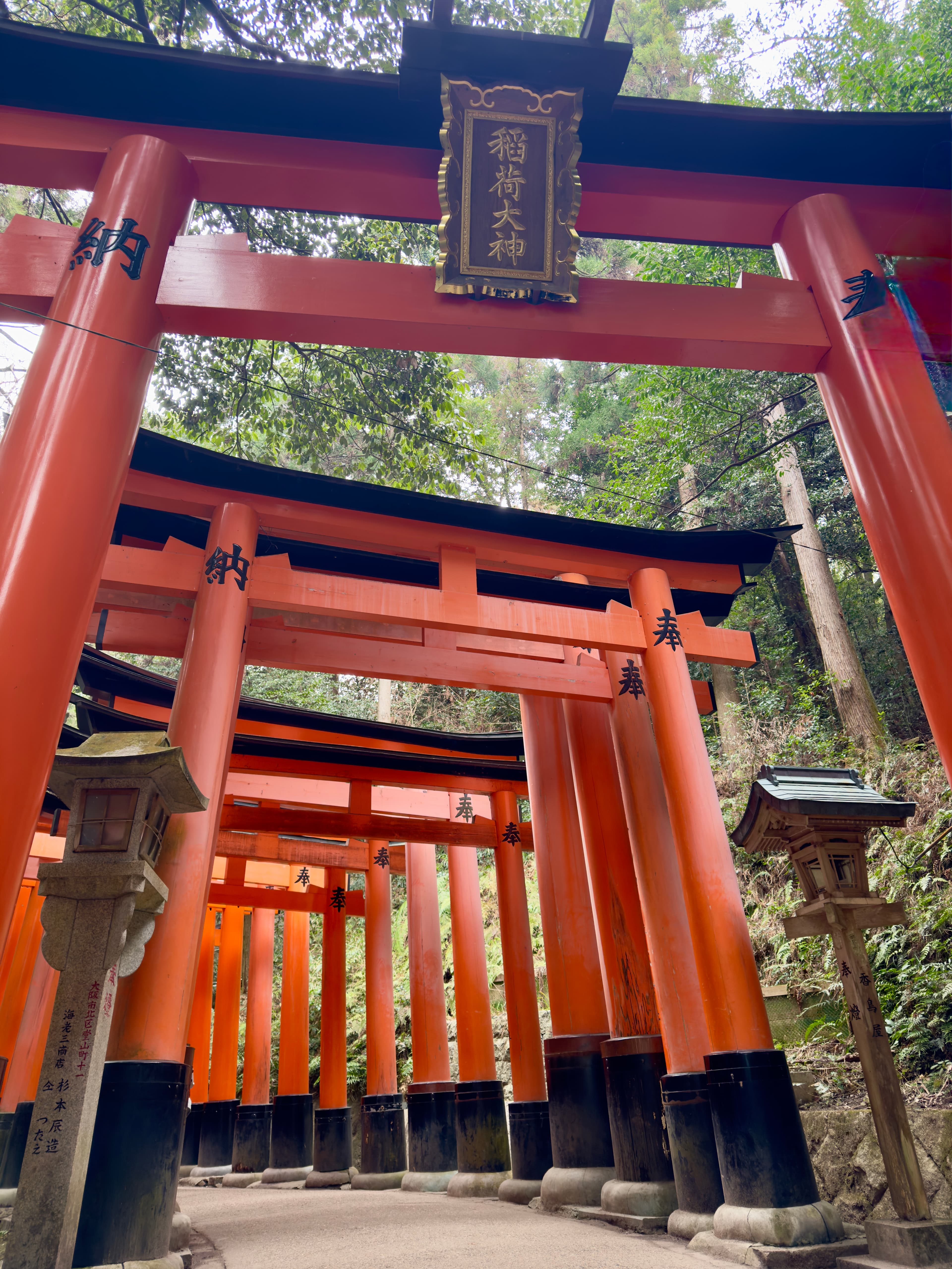 Travel photo 1