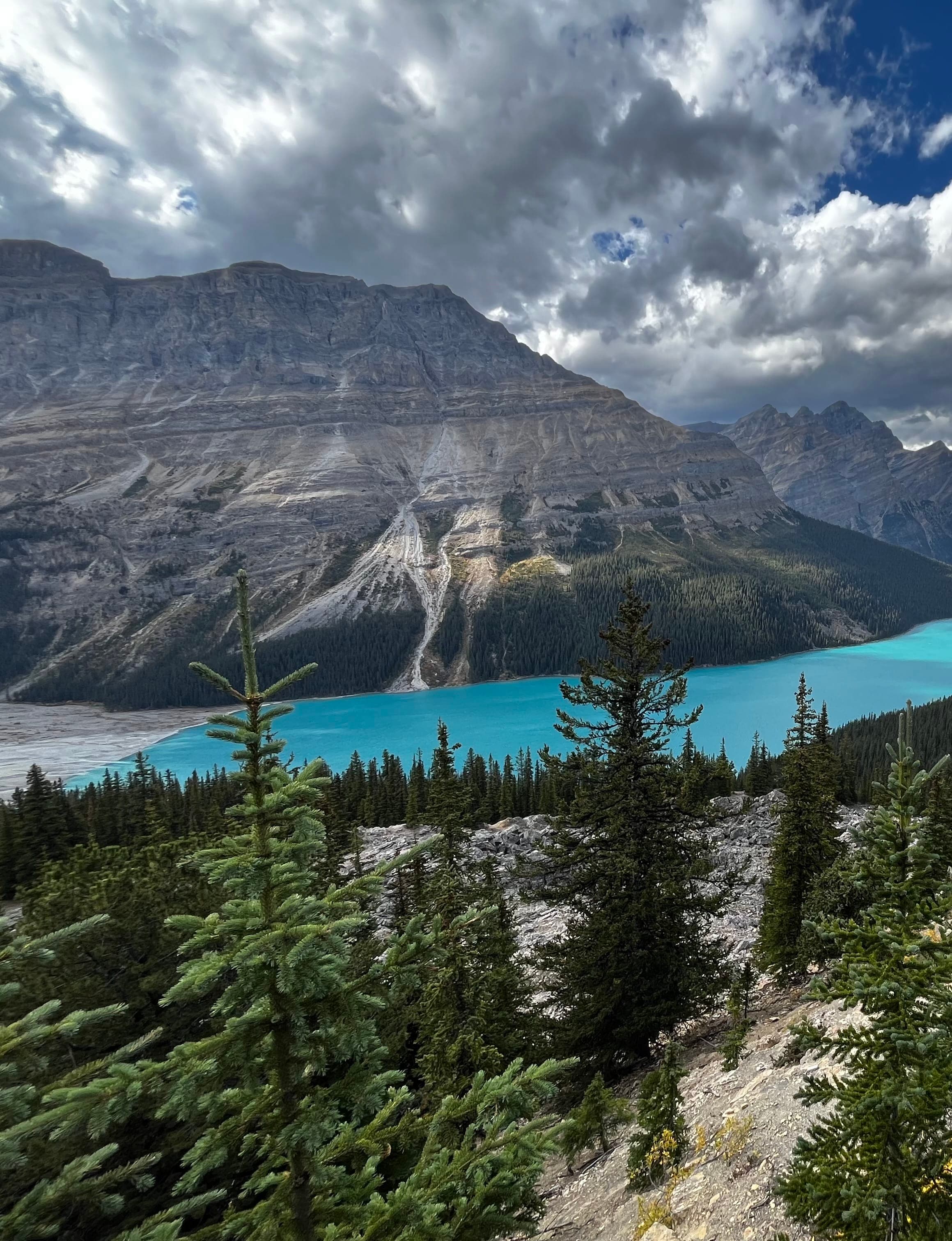 Wilderness & Wonder: 5 Days in Banff & Canmore, Canada curated by Tara Eichorn