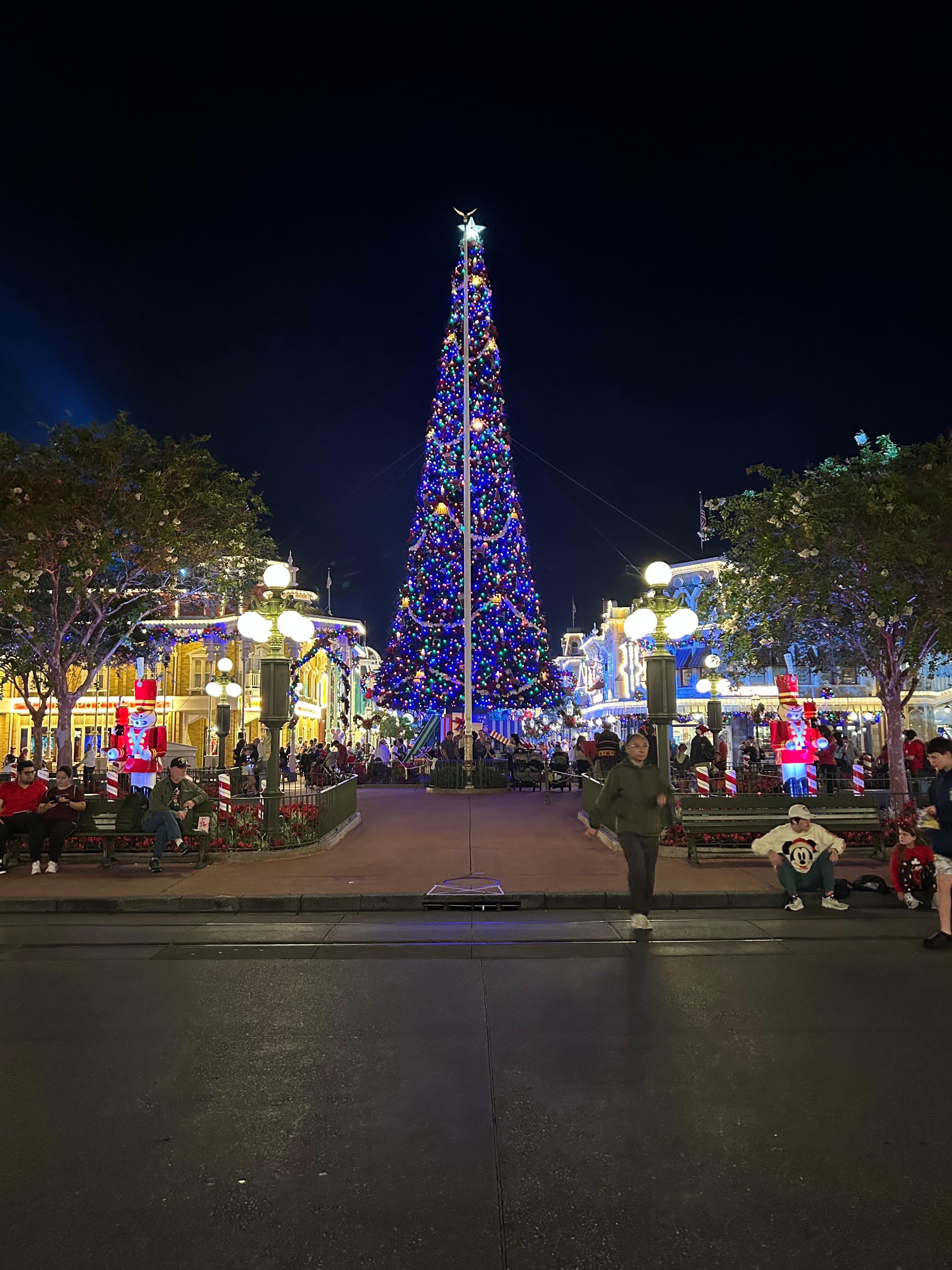 A Magical Dream Trip to Walt Disney World curated by Zachary McDonald