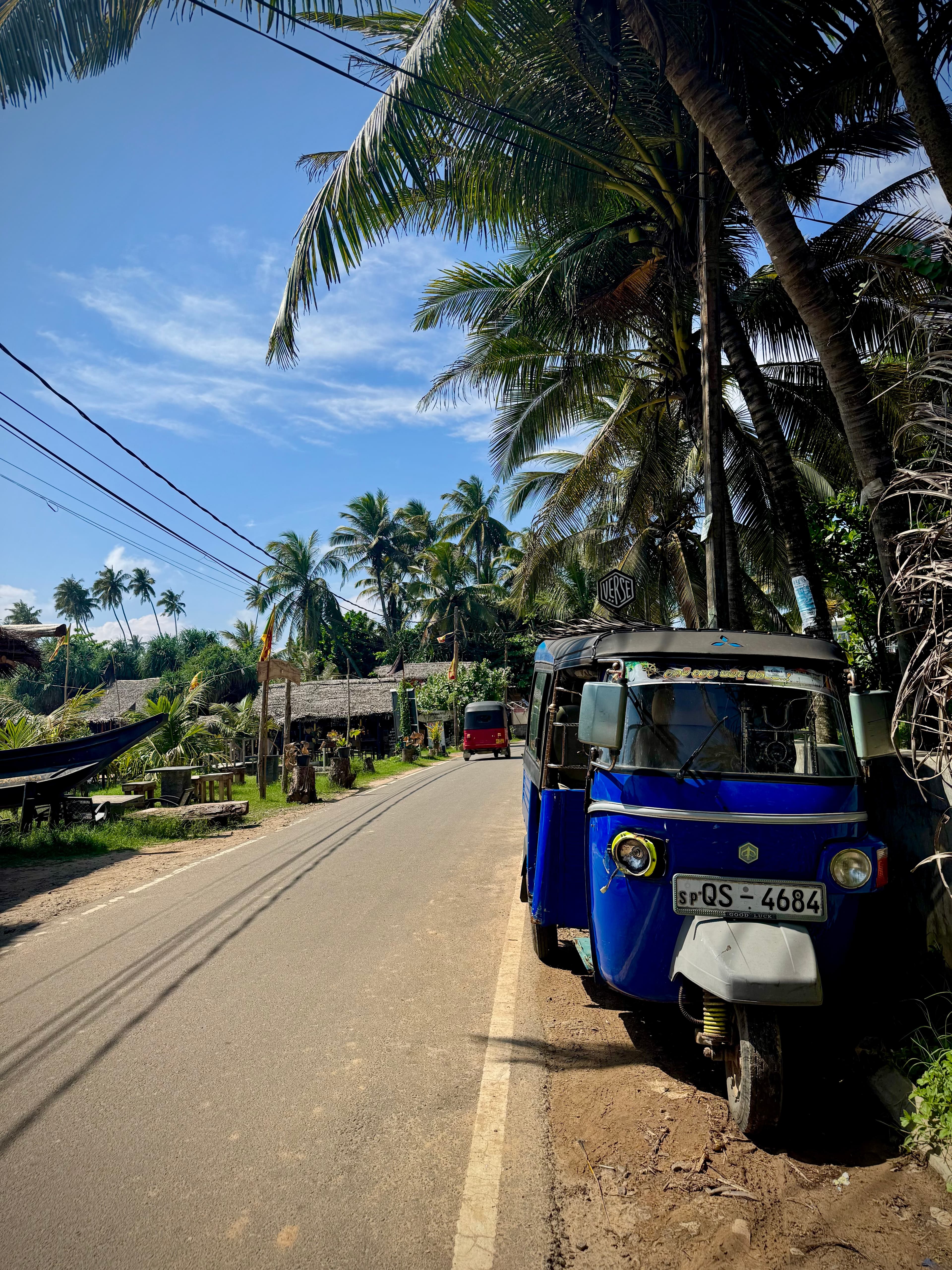 Surf, Safari & Sightseeing: Exploring Sri Lanka’s Southern Coast curated by Danielle Moore