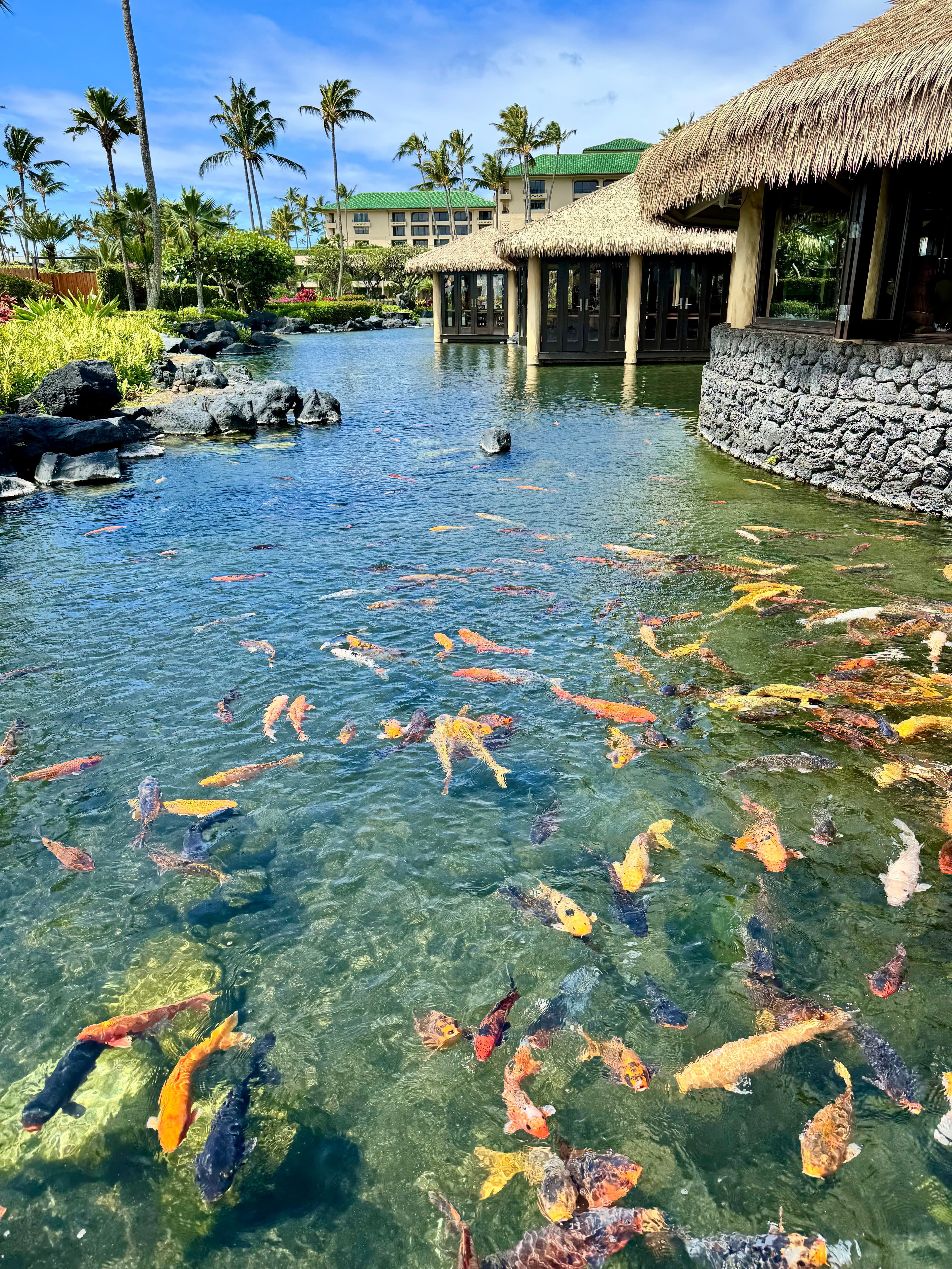 Kauai Called, I Answered: at the Grand Hyatt curated by Jennifer Singleton