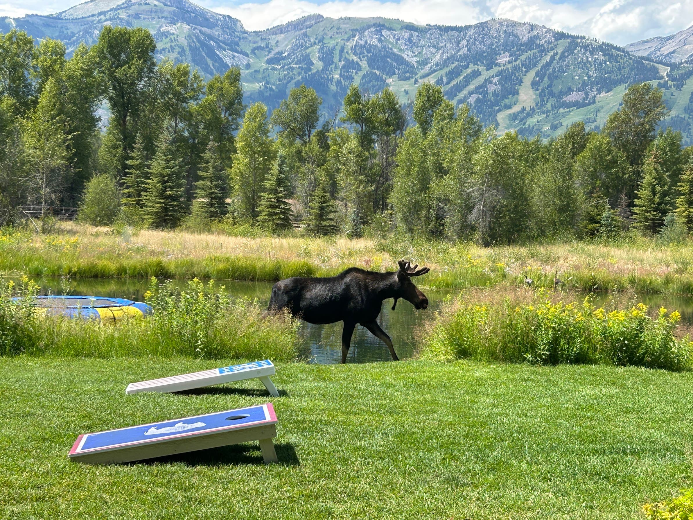 Summer Stop in Jackson Hole, Wyoming curated by Keri Bartlett