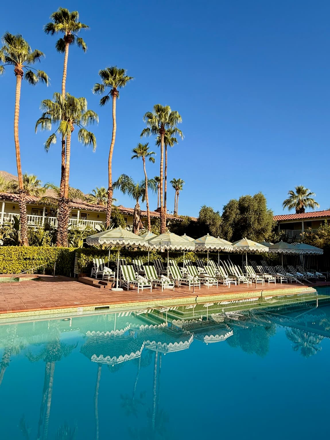 How to Spend a 100-Degree Weekend in Palm Springs curated by Liz Lee