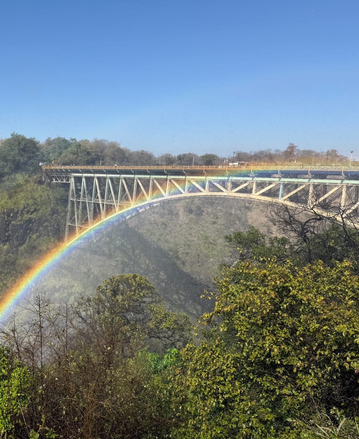 The Smoke That Thunders: Waterfalls, Wildlife & Wonder in Victoria Falls, Zimbabwe curated by Michele Rhudy