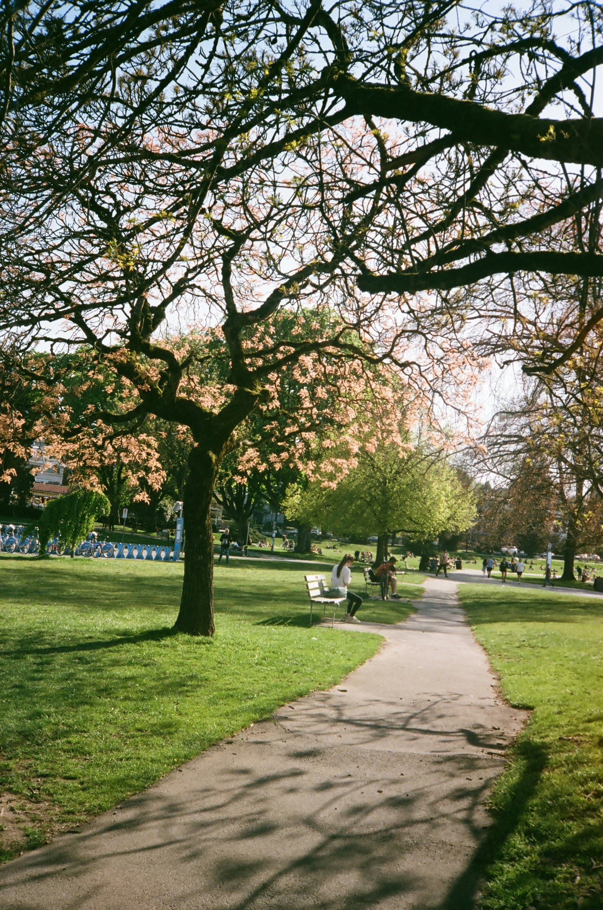 Primrose Hill Done Properly curated by Natalie Buczynsky