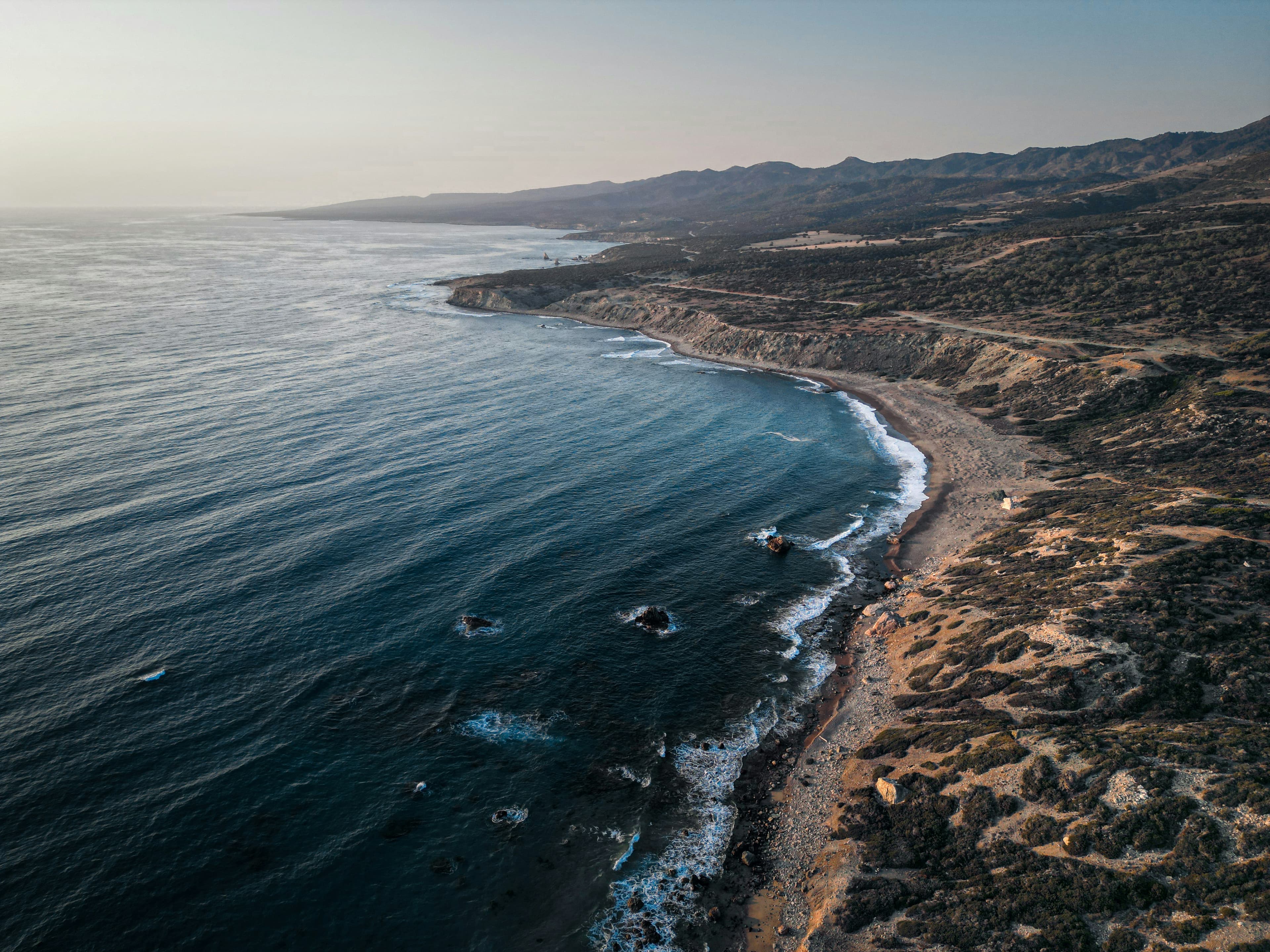 Cabo’s Untamed Beauty: The Pacific Side curated by Marisa Varga