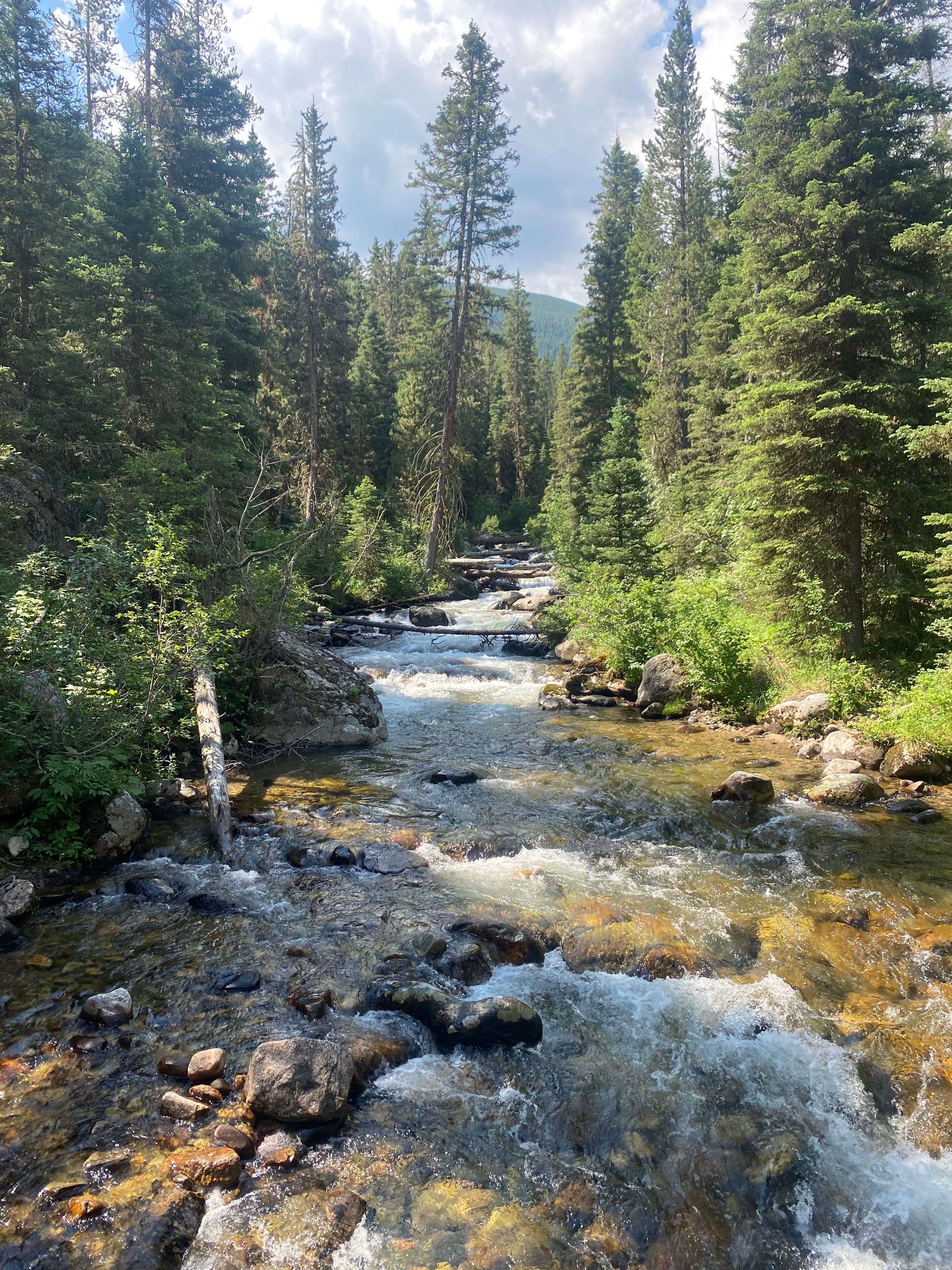 The Best of Bozeman & Yellowstone: 4 Days in the 406 curated by Kate Cusick