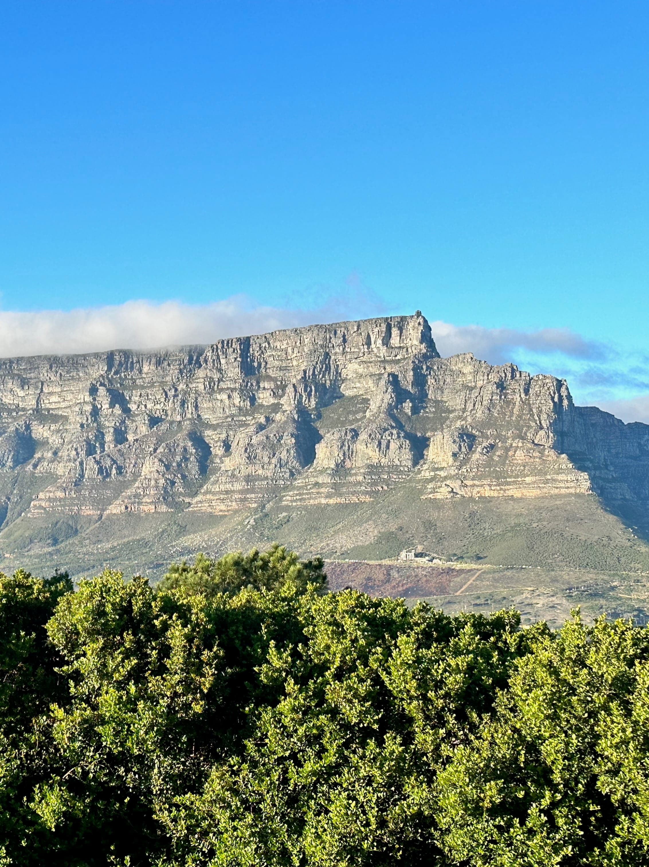 The Best of Cape Town in 3 Days: Expect the Unexpected curated by Sara D’Angelo