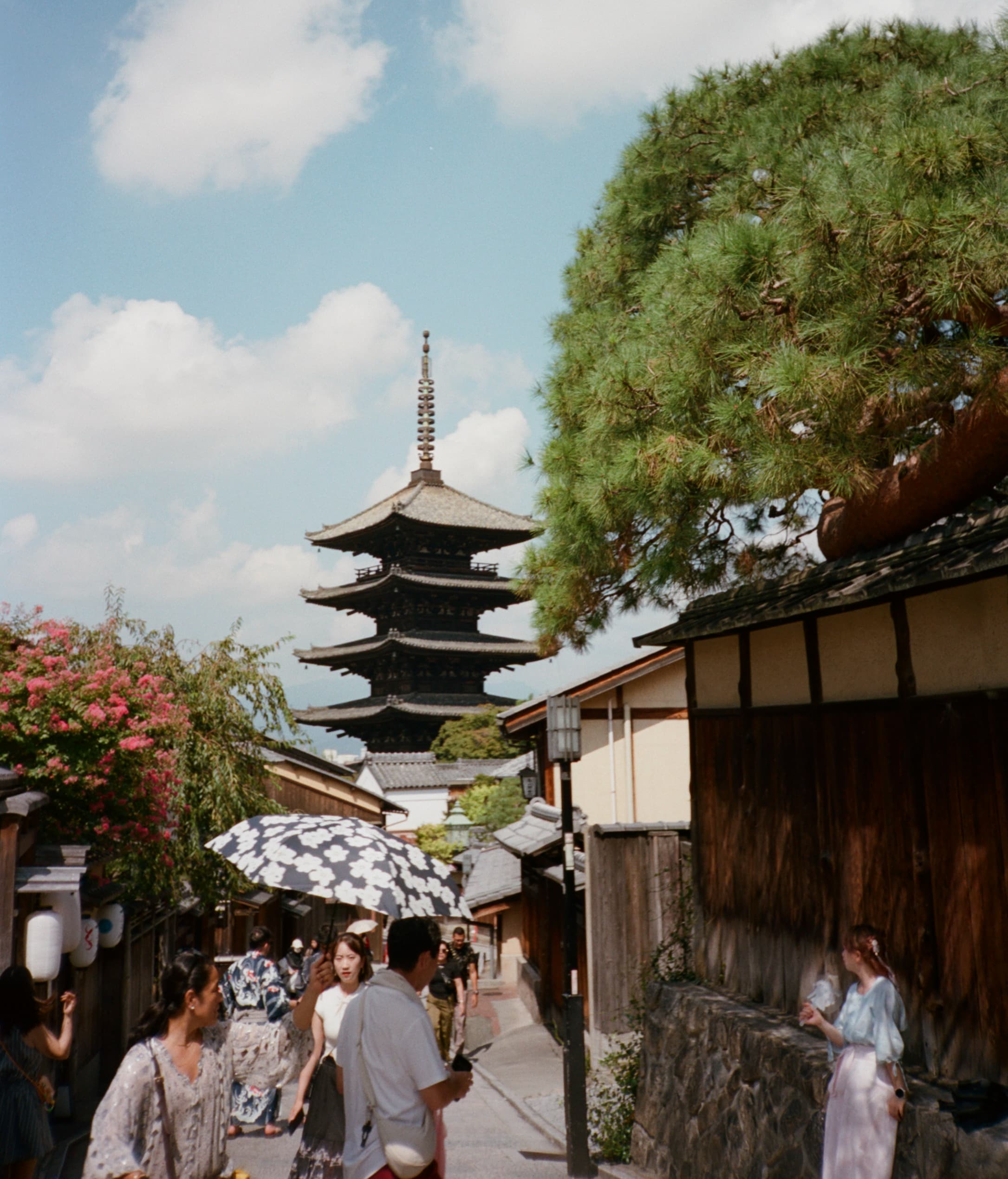 A First-Timer's Guide to Japan curated by Matt Pacifici