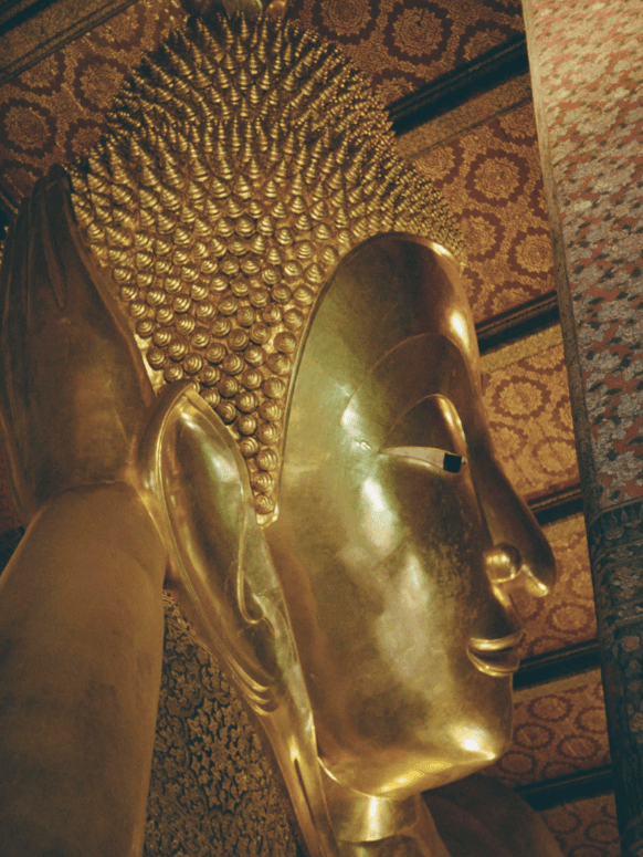 48 Hours in Bangkok curated by Matt Pacifici