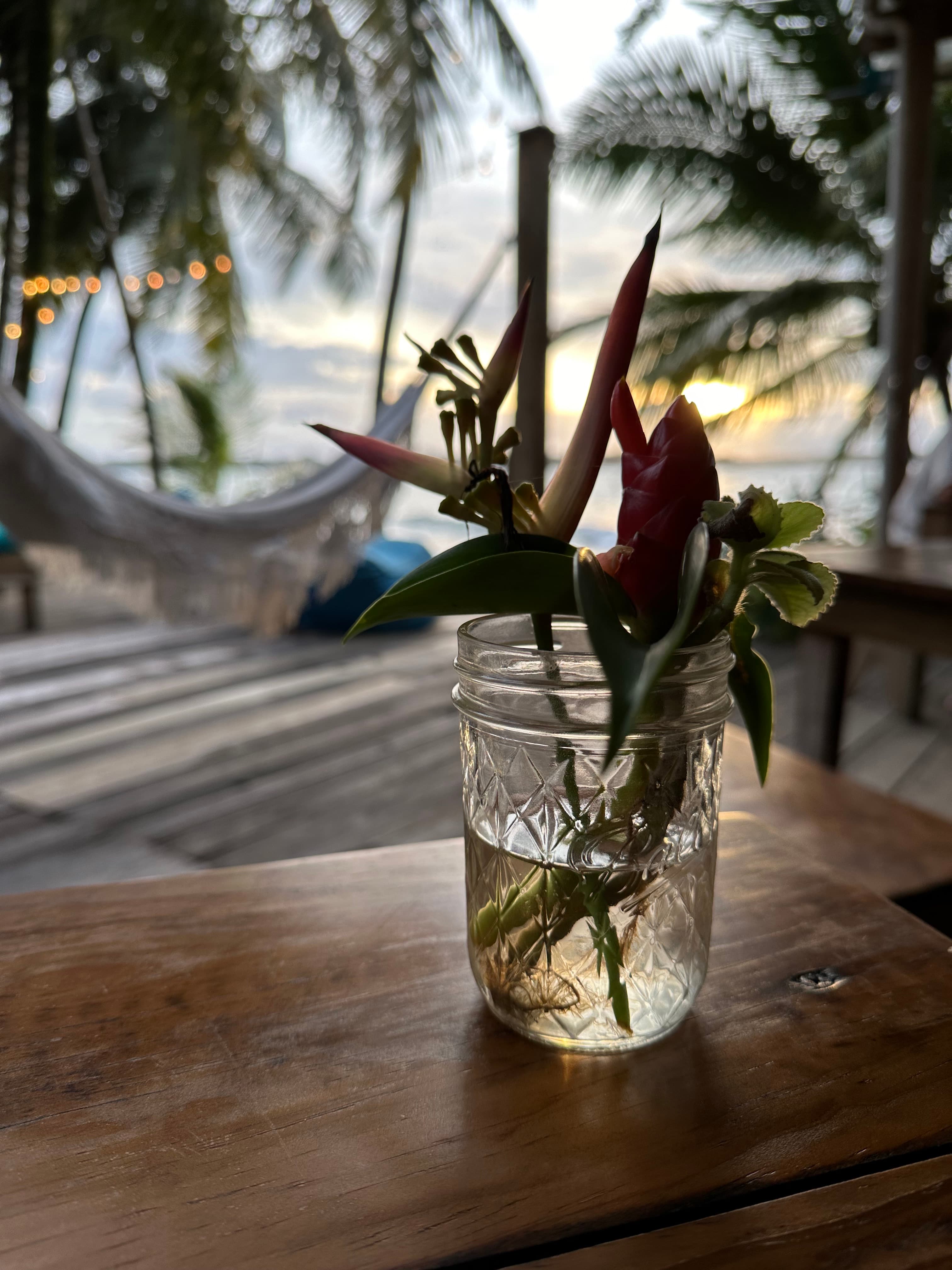 The Islands of Bocas del Toro: A Traveler’s Guide to Panama’s Caribbean Gem curated by Christie O'Laughlin