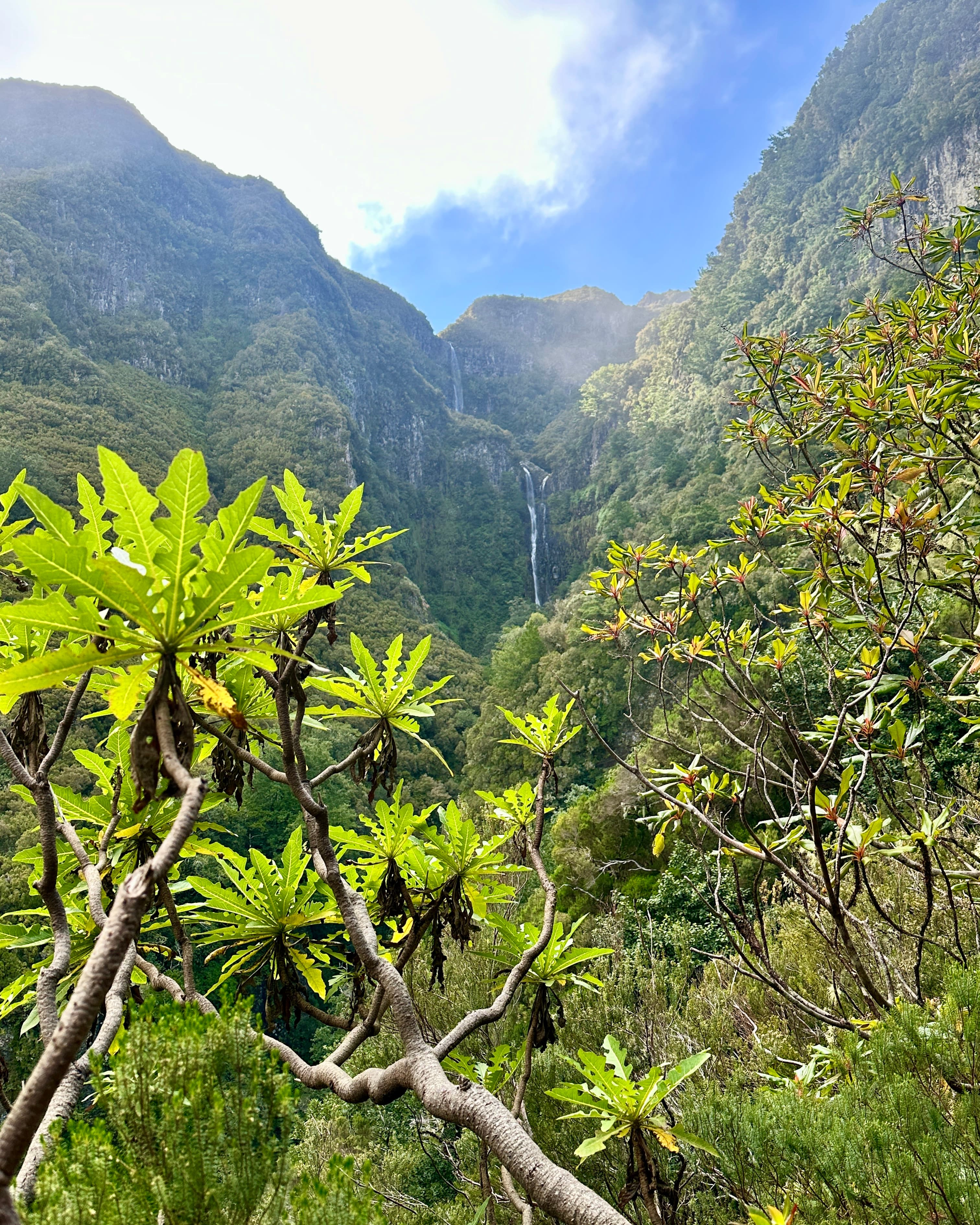 Madeira: The Luxury Adventurer's Guide curated by Erika Erb