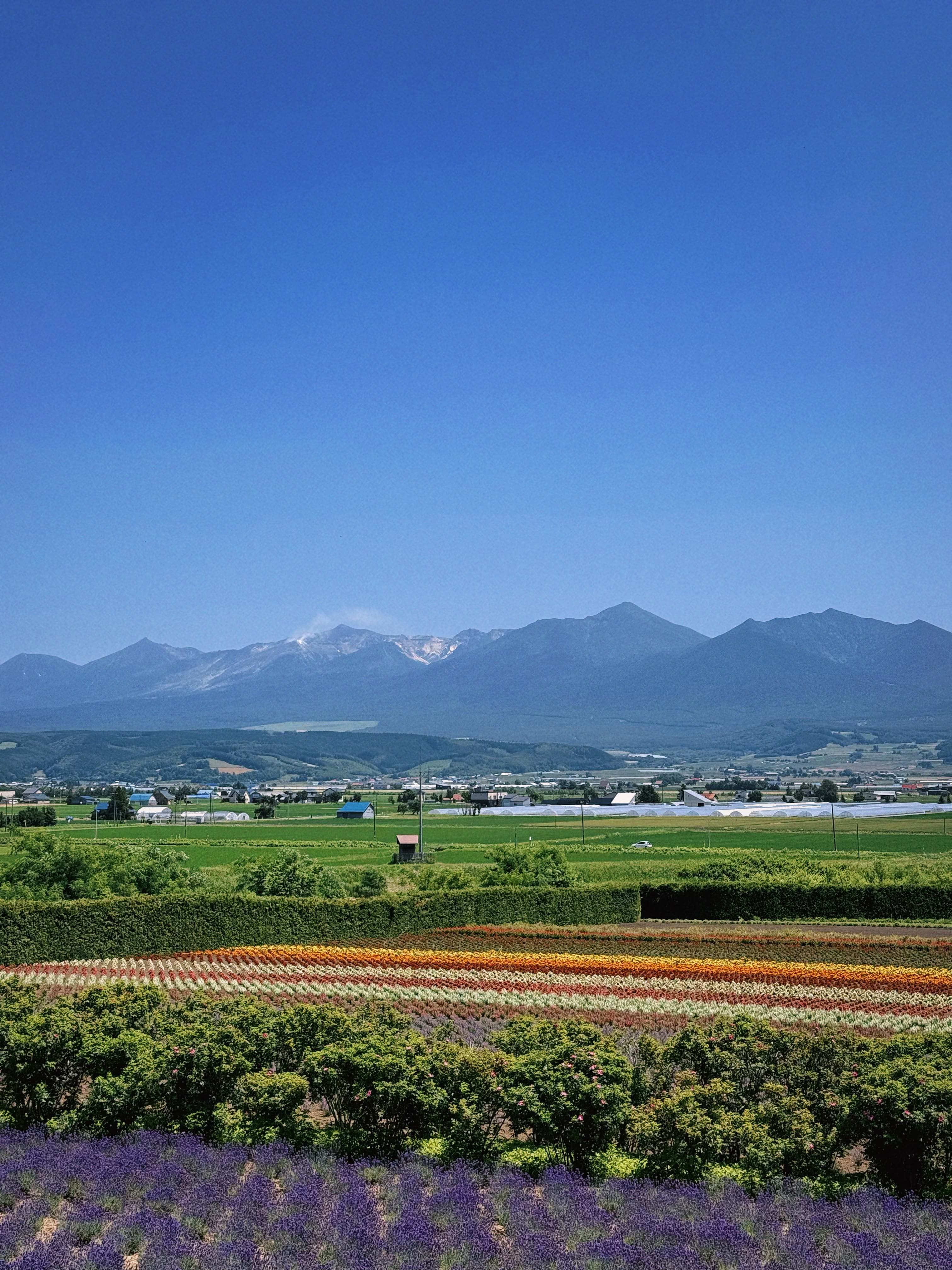 Beat the Heat in Hokkaido: Best Summer Spots curated by Christina Ng
