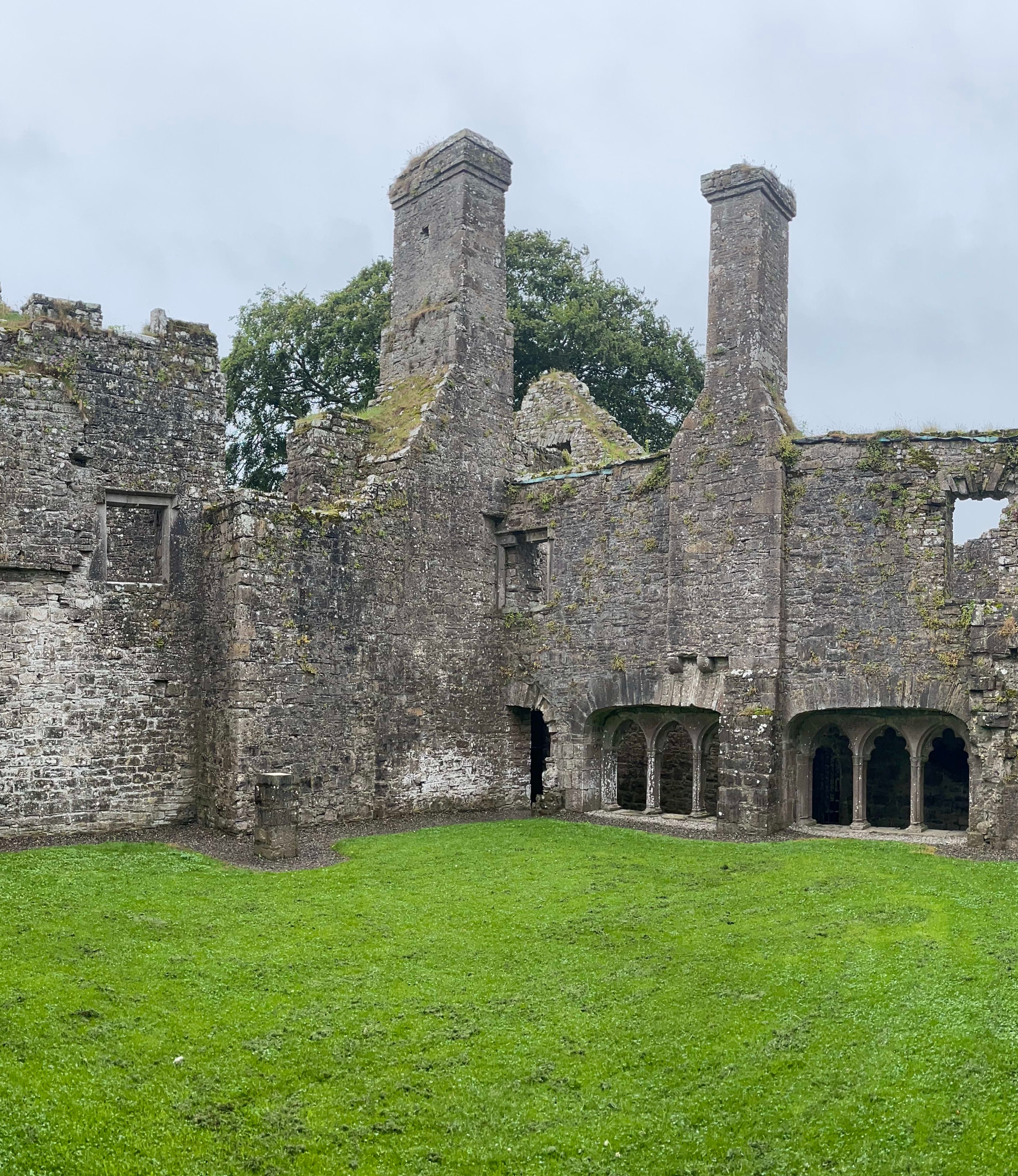 Ireland: Where the Grass is Greener curated by Reid Crain