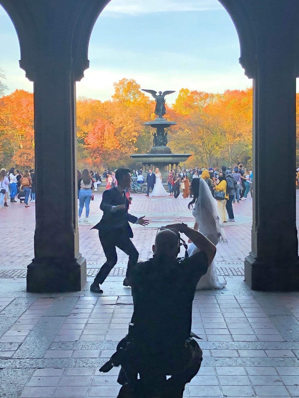 Autumn in New York curated by Eva Dilmanian