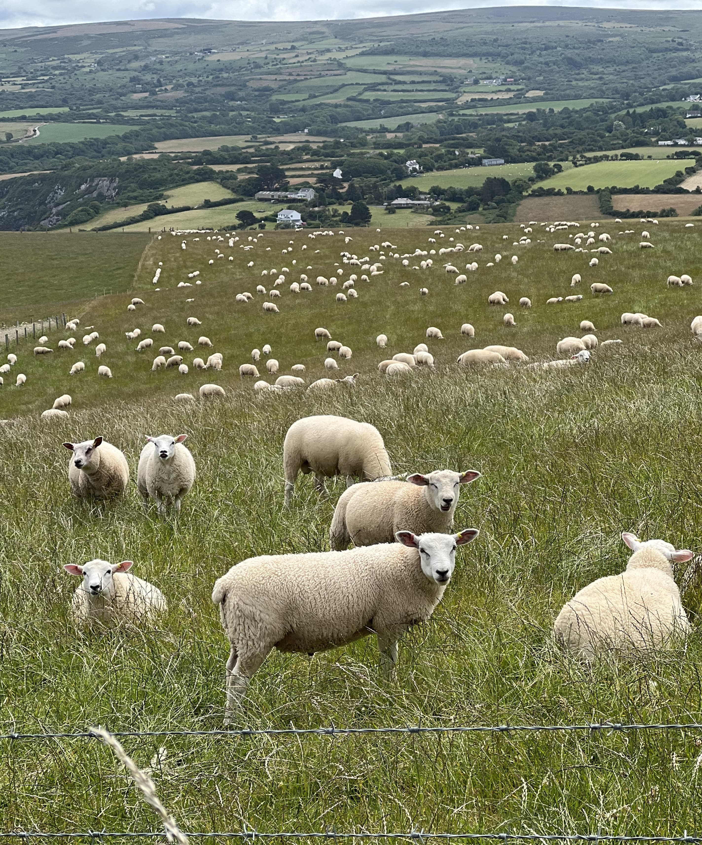 UK Highlights: An Audacious 2,100-Mile Driving Trip curated by Mei-Mei Kirk