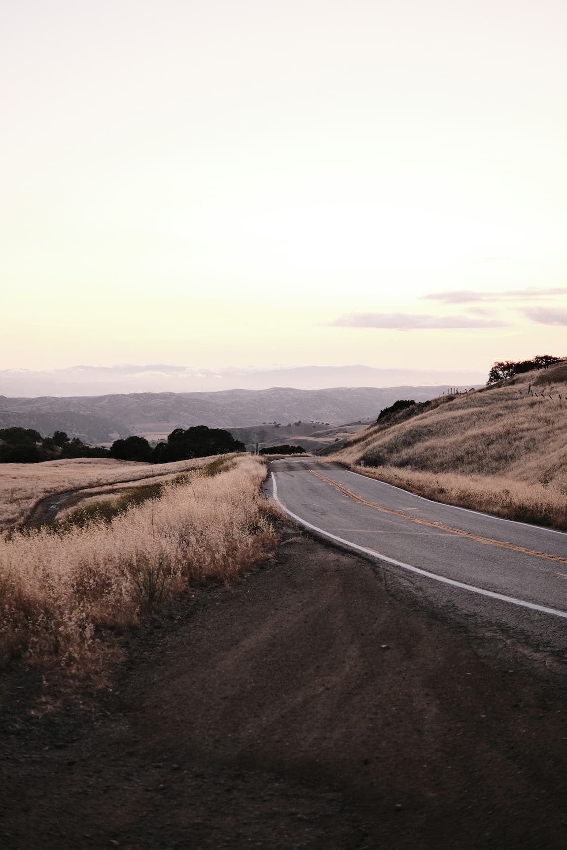 The Backroads of Sonoma: 3 Days of Eating, Drinking & Wandering curated by Rachel Santino