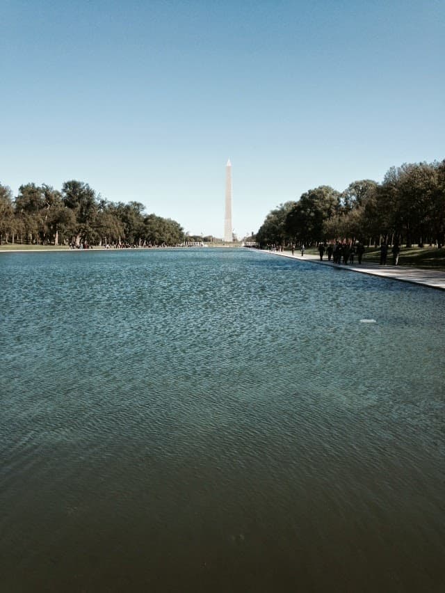 A Local's Guide to Washington DC, Baltimore & Arlington, Virginia curated by Henry Nalker