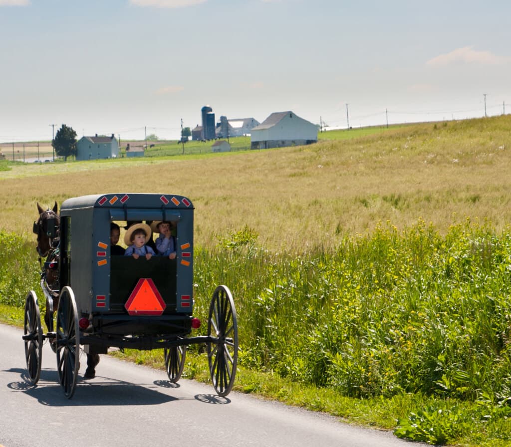 A Guide to Harrisburg, Elizabethtown, Lancaster, PA & the Surrounding Areas curated by Henry Nalker