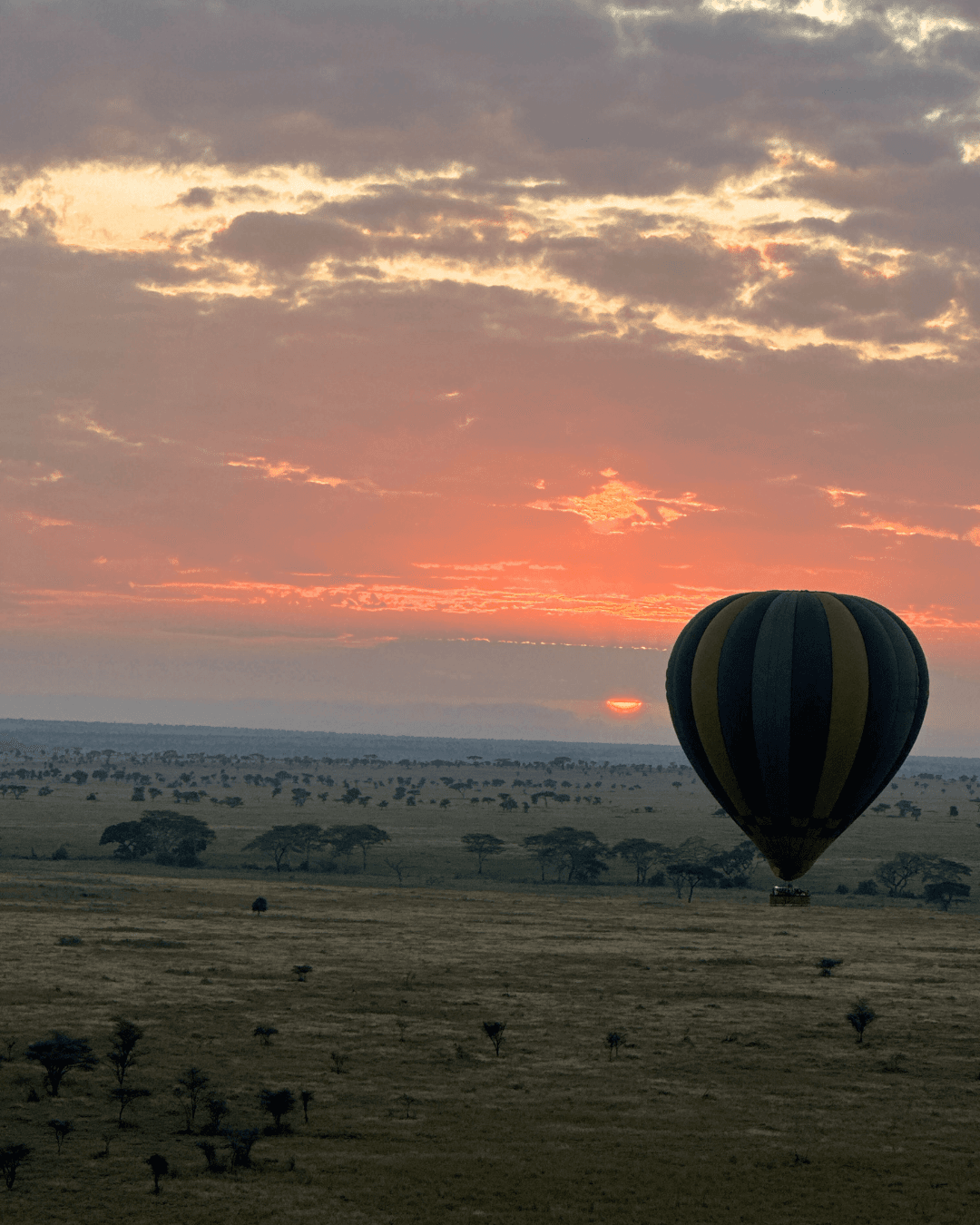 Ronjo Camp: Unfenced, Unfiltered & Unforgettable in Tanzania curated by Niriha Kadambi