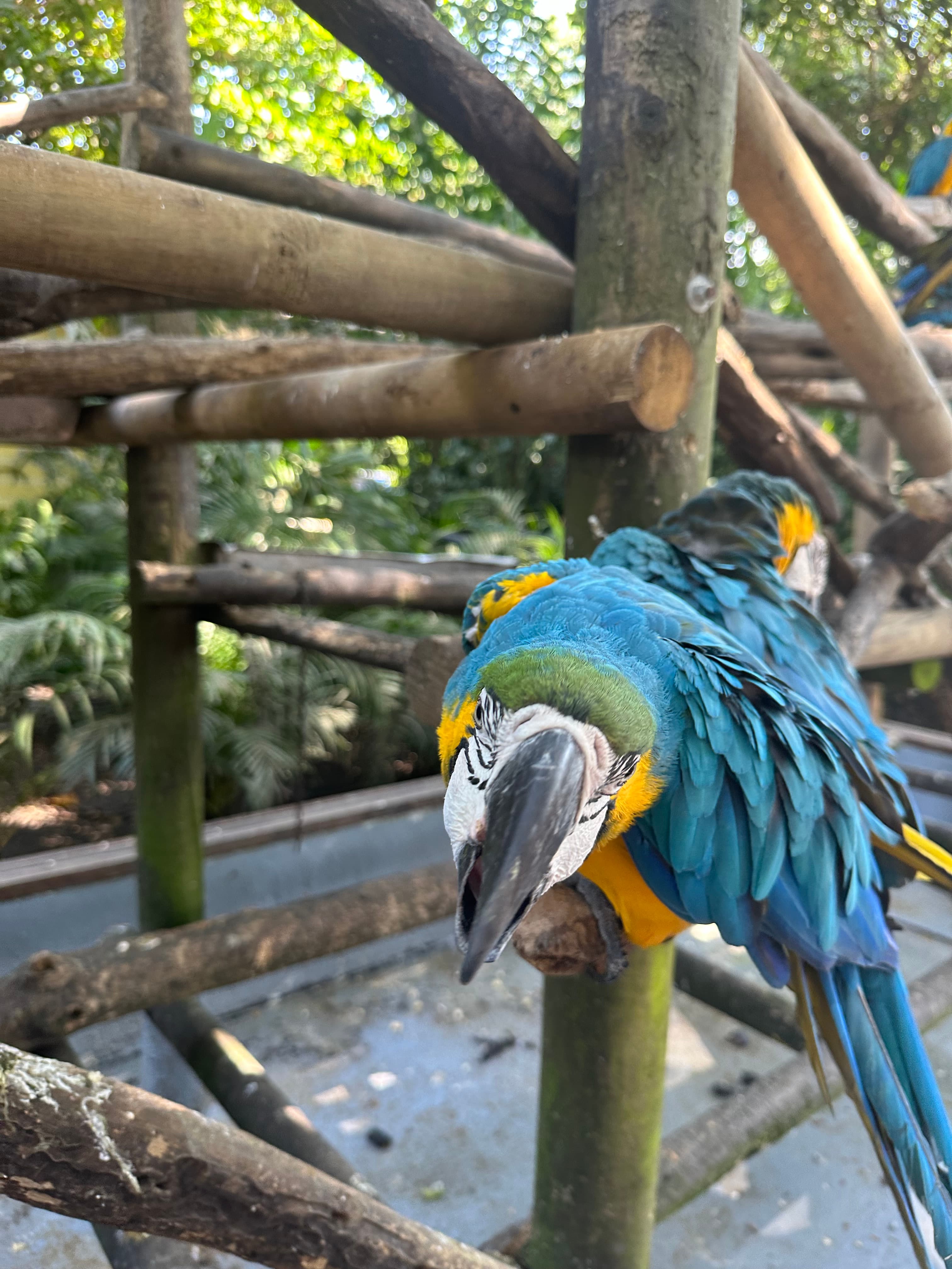 Travel photo 1