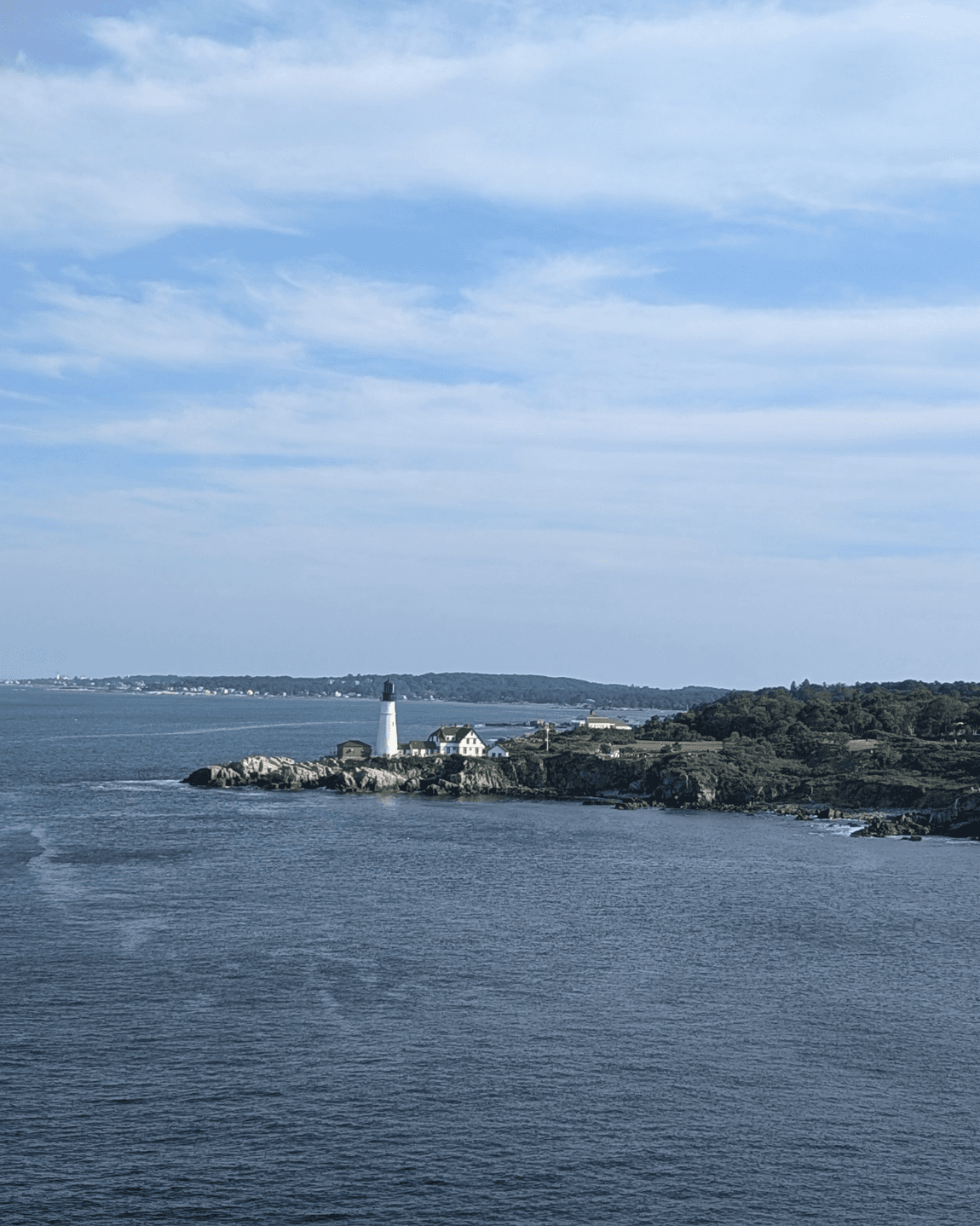 Wildflowers and Whoopie Balls: Our June Canada & New England Cruise Experience on Island Princess curated by Wendy Pochop