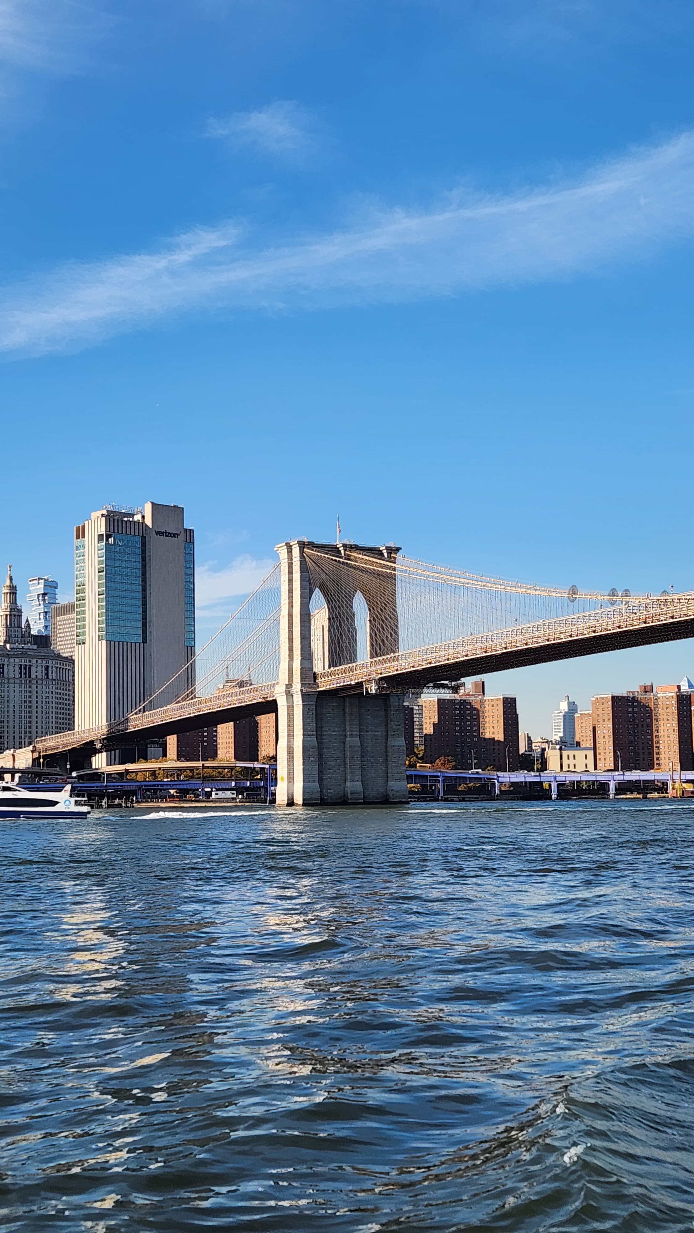 A Colombiana Visiting New York for 20 Days curated by Paula Chamorro