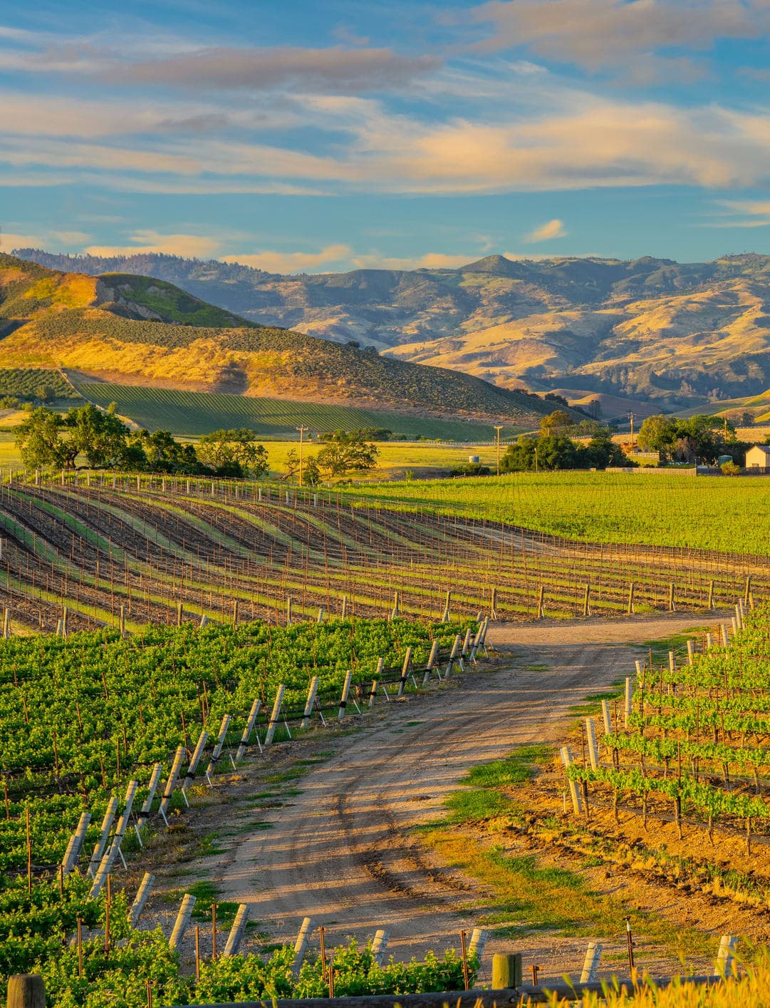 Danish Charm Meets California Dreaming: Solvang & the Santa Ynez Valley Should Be Your Next Escape curated by Marilyn Olson