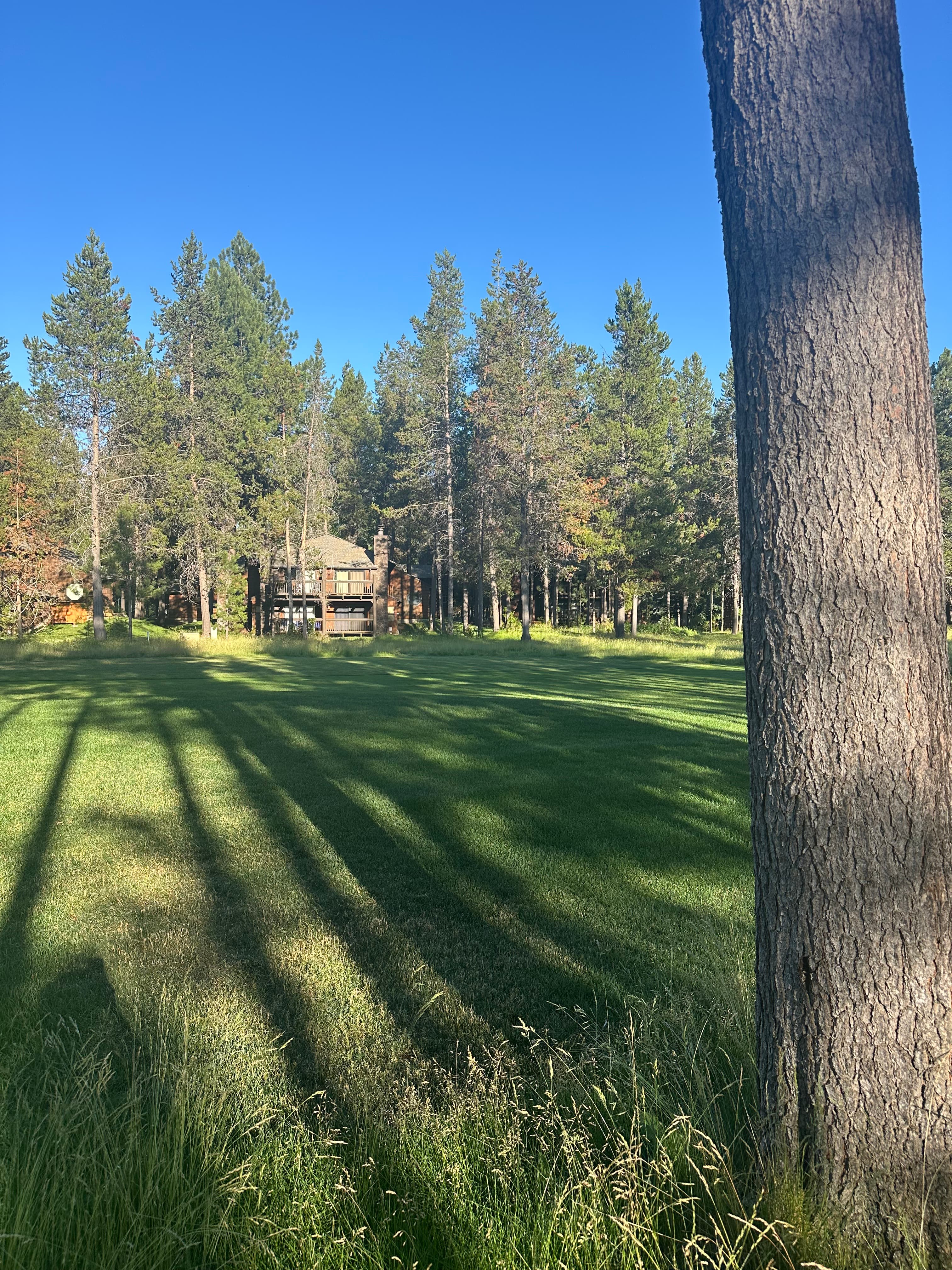 Epic Outdoor Escapes: A Family Vacation in Sunriver, Oregon curated by Jineane Kennedy