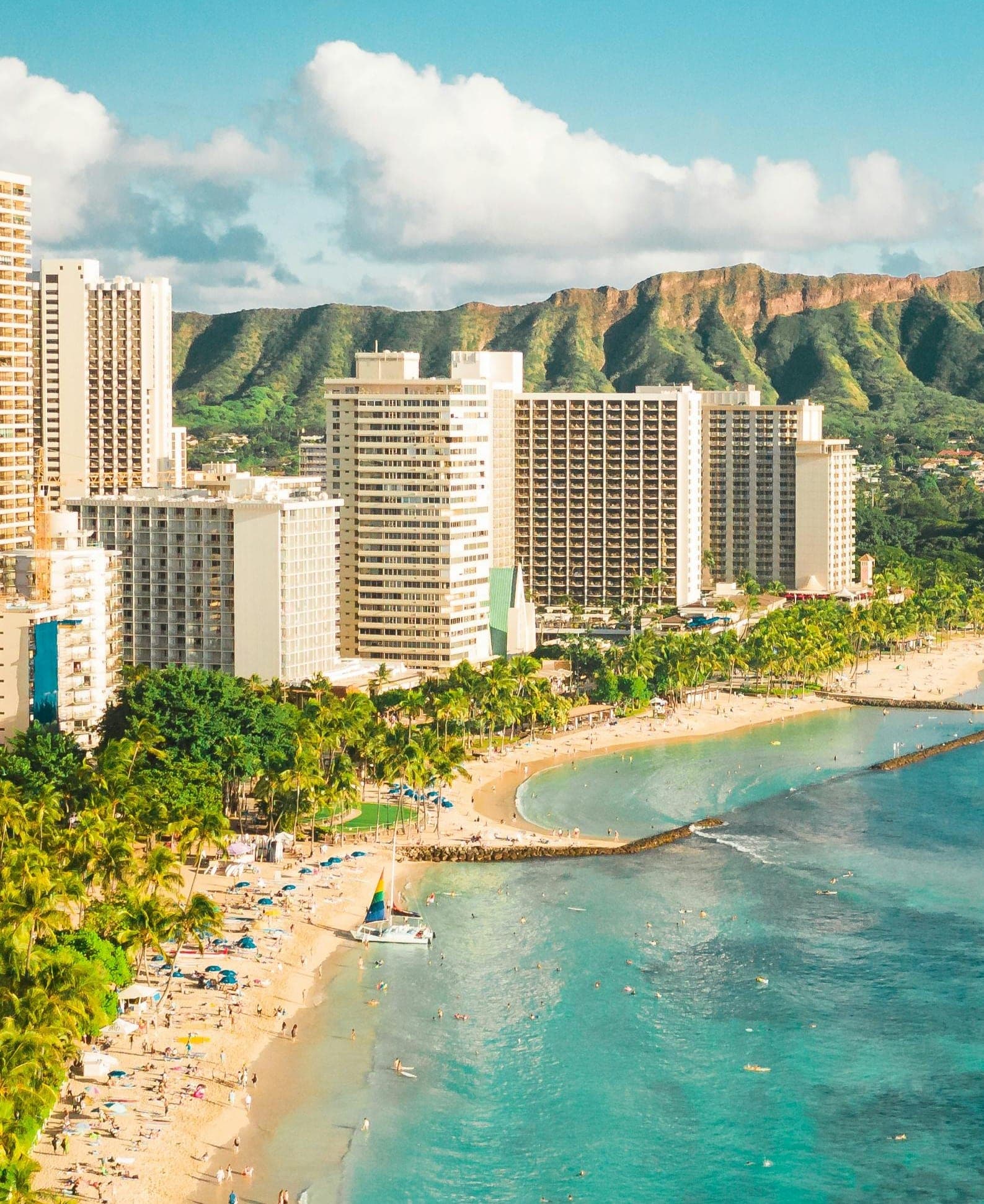 A Bite of Oahu curated by Stephanie Ivy