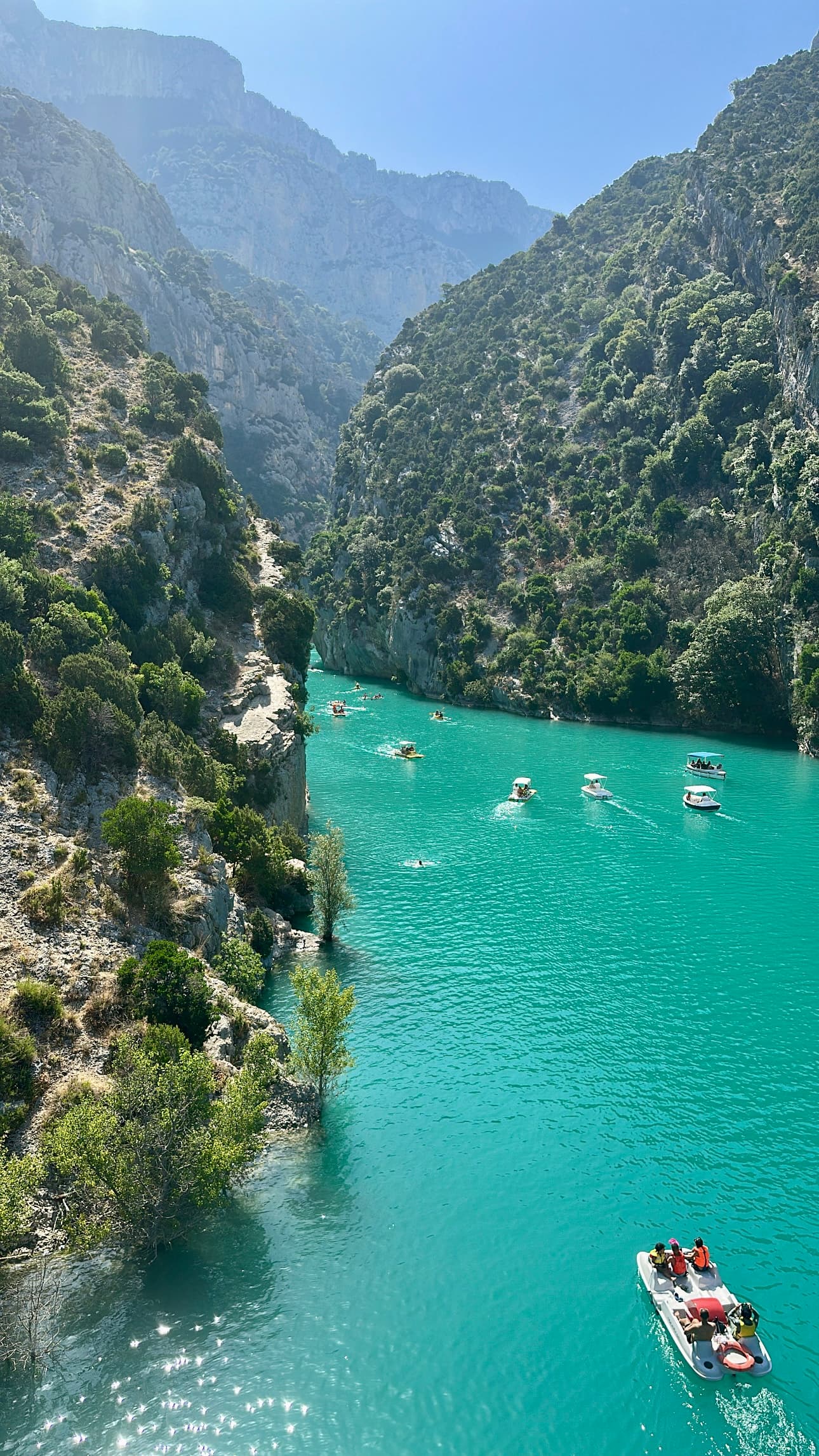 A Slice of Heaven in Provence: Lavender Fields & Verdon Gorge curated by Tara Brower