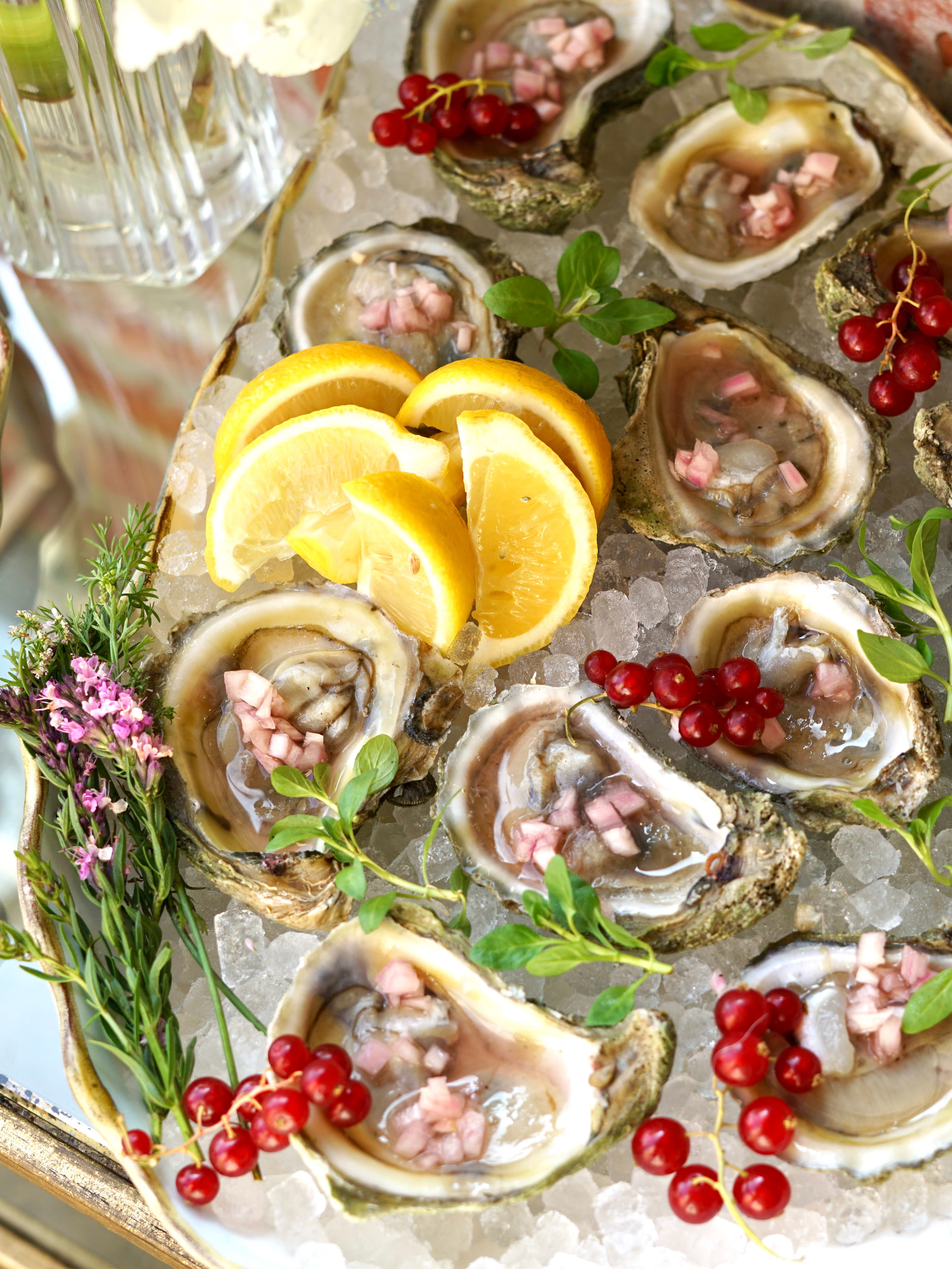 Sips, Bites & Southern Charm: A Chef’s Guide to Charleston Wine + Food Festival curated by Jessica Comegys