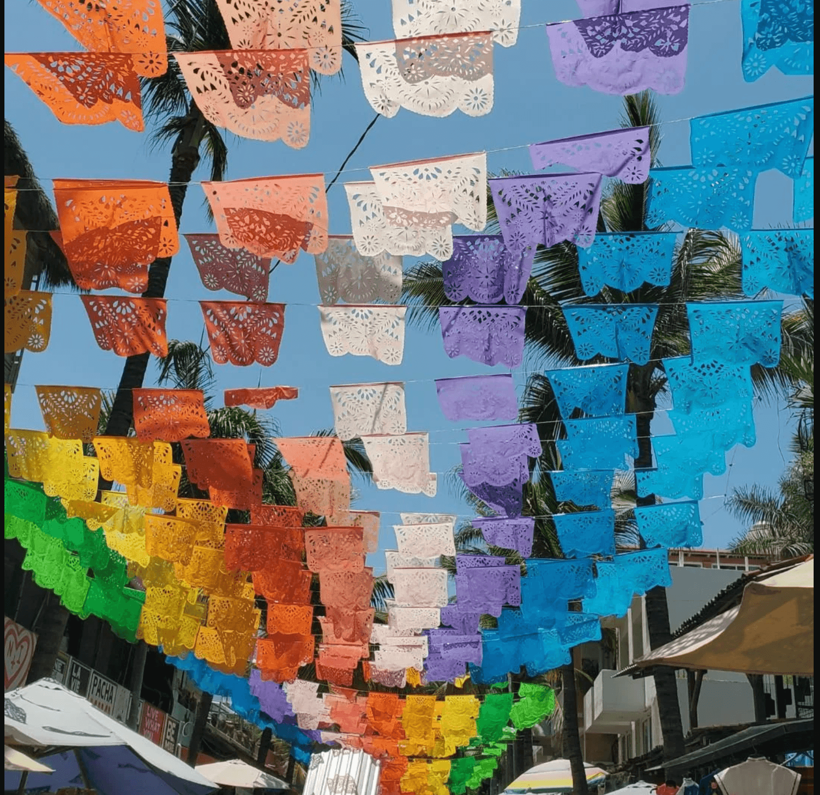 Exploring Puerto Vallarta: A Paradise of Adventure, Food & Nature curated by Jennifer Klingner