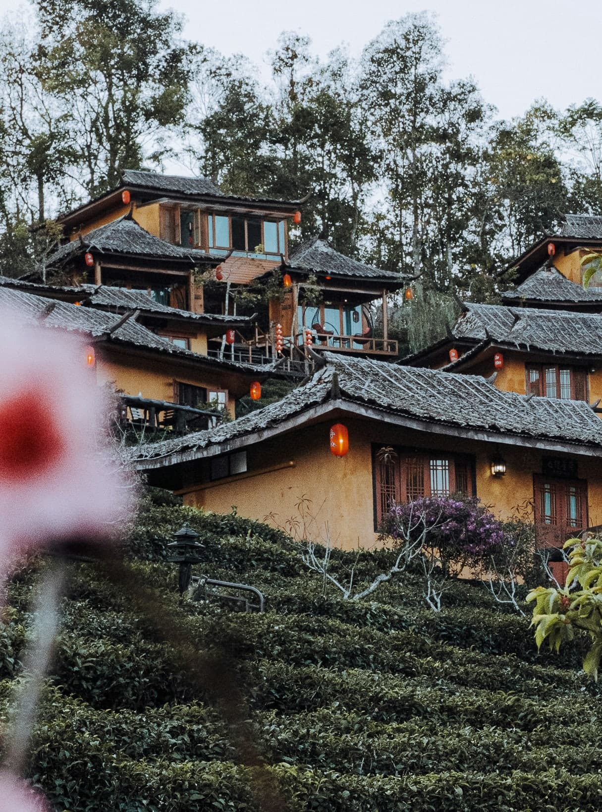 Northern Thailand Beyond Chiang Mai curated by Guillem Torcal Garcia