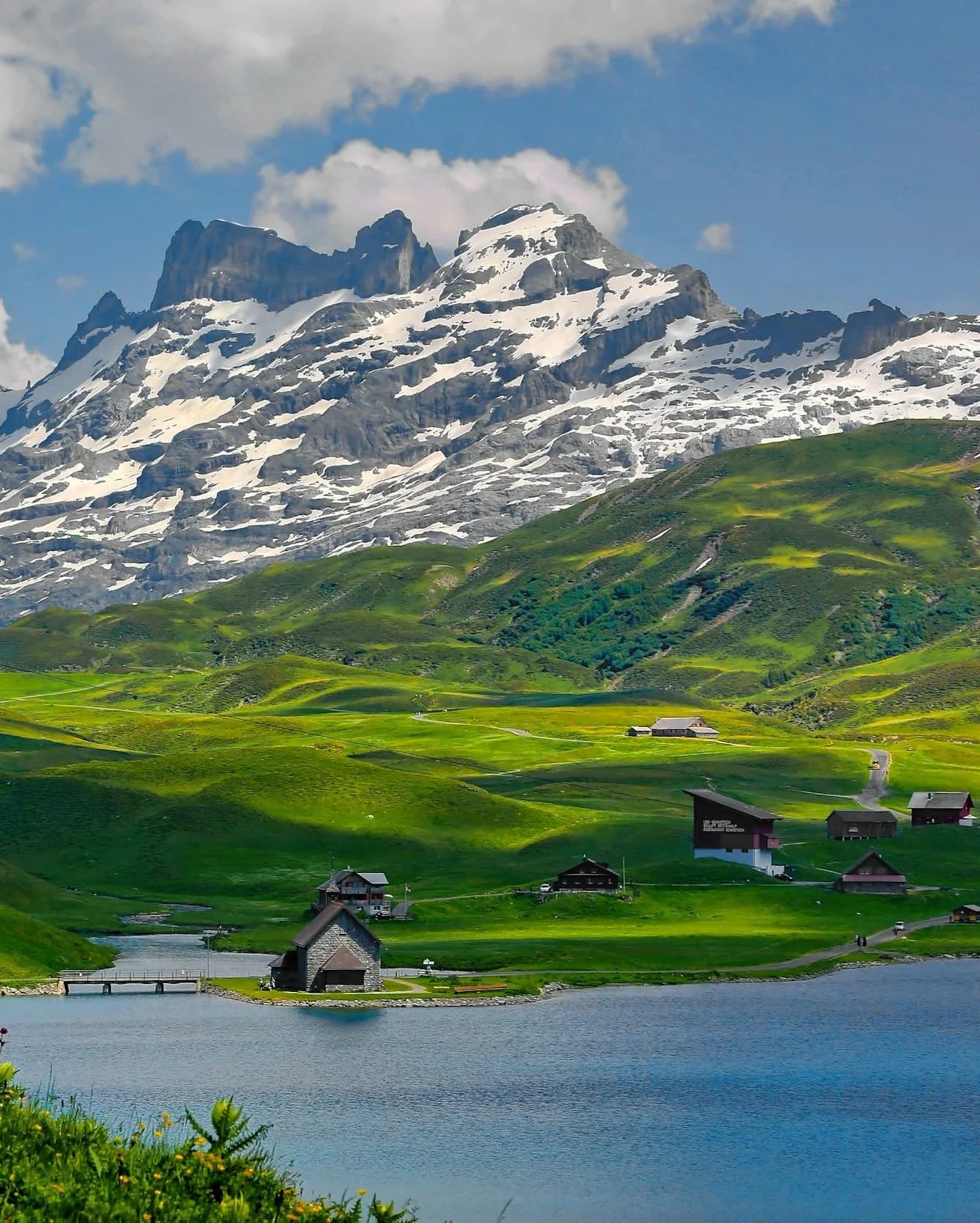 The Goose's Guide to Switzerland curated by Caitlin Sumner