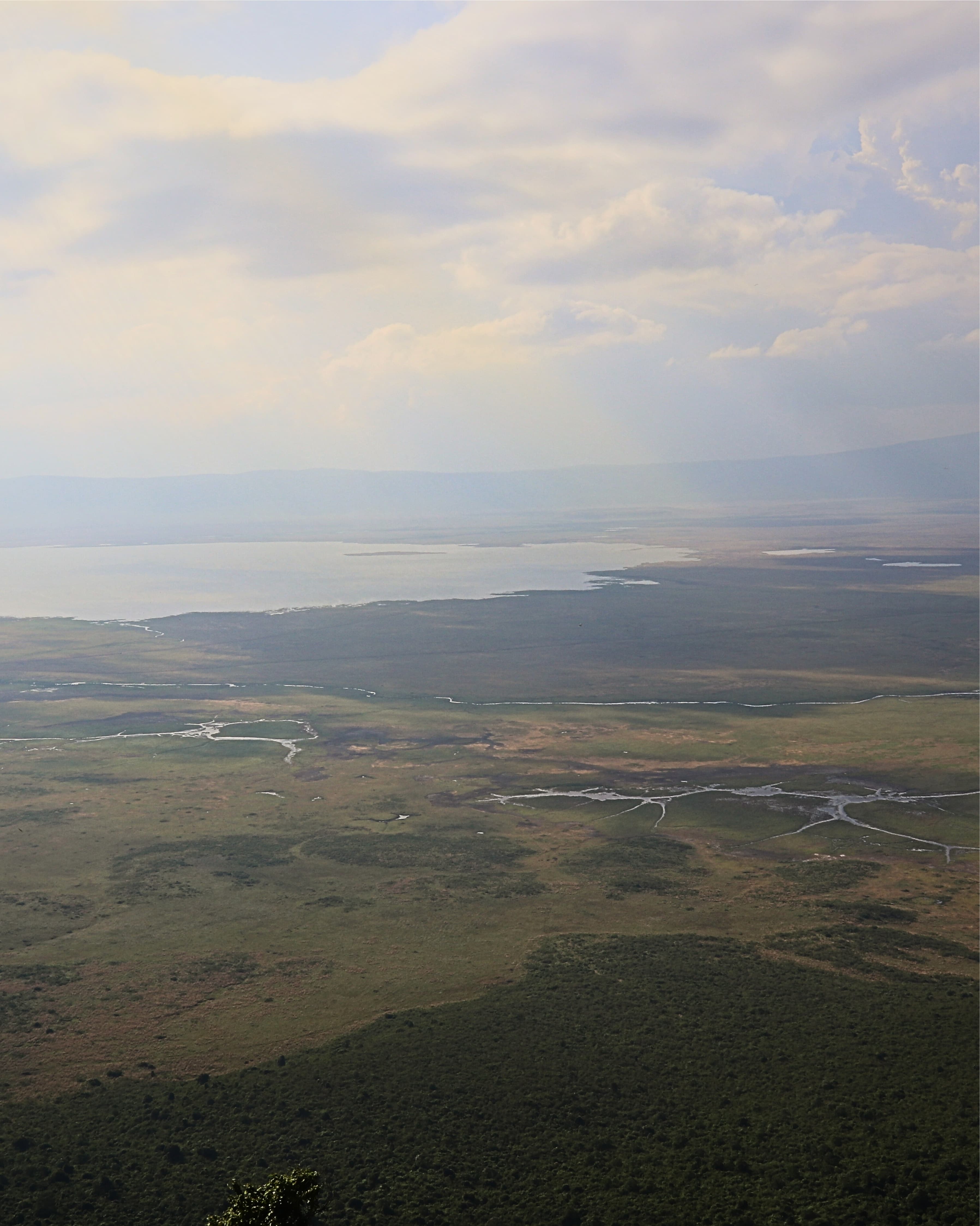 Ngorongoro Crater Safari: Inside Africa’s Hidden Wonder curated by Niriha Kadambi