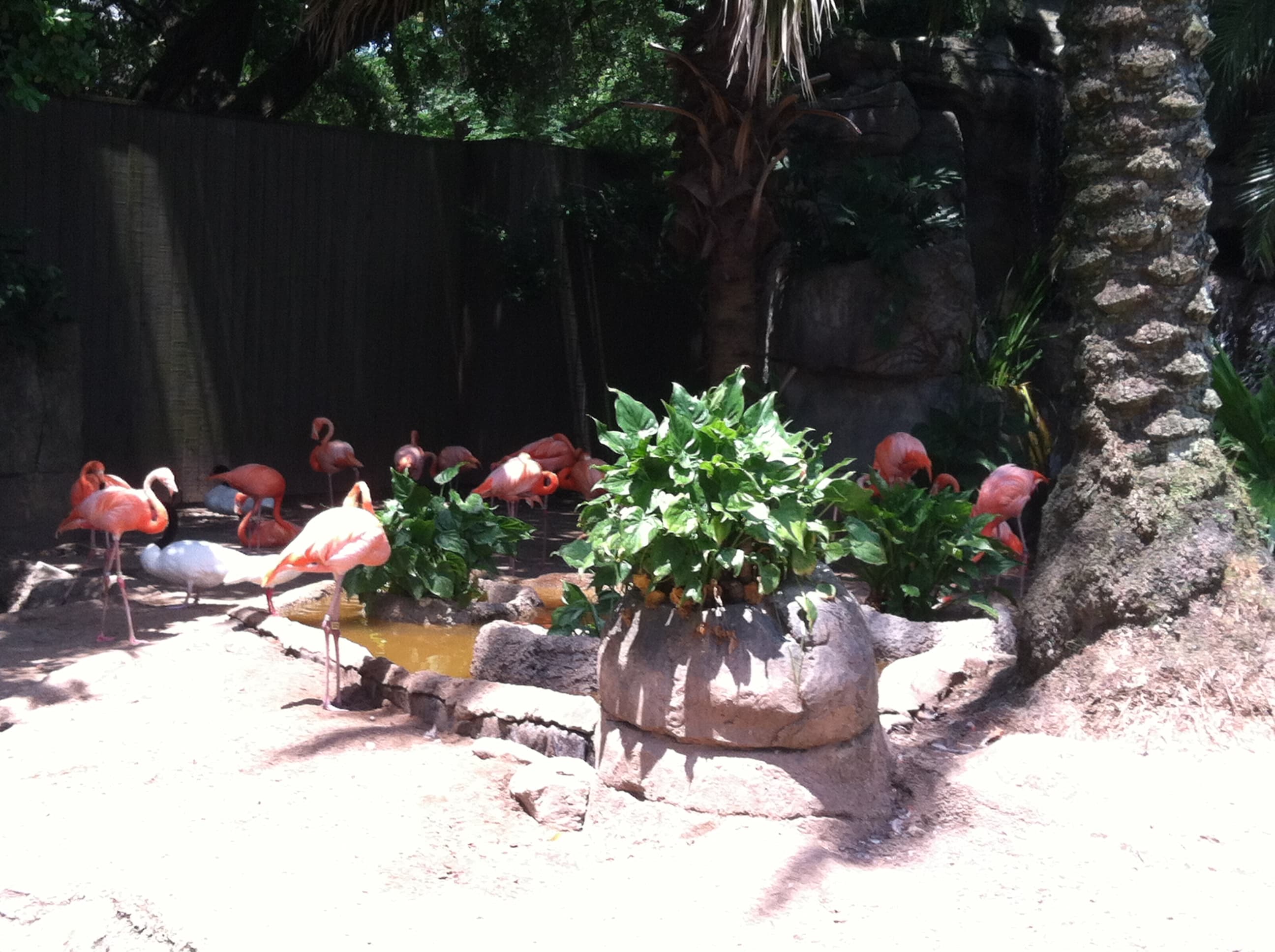 Cruise Countdown: Family Fun Weekend in NOLA curated by Swati Shah