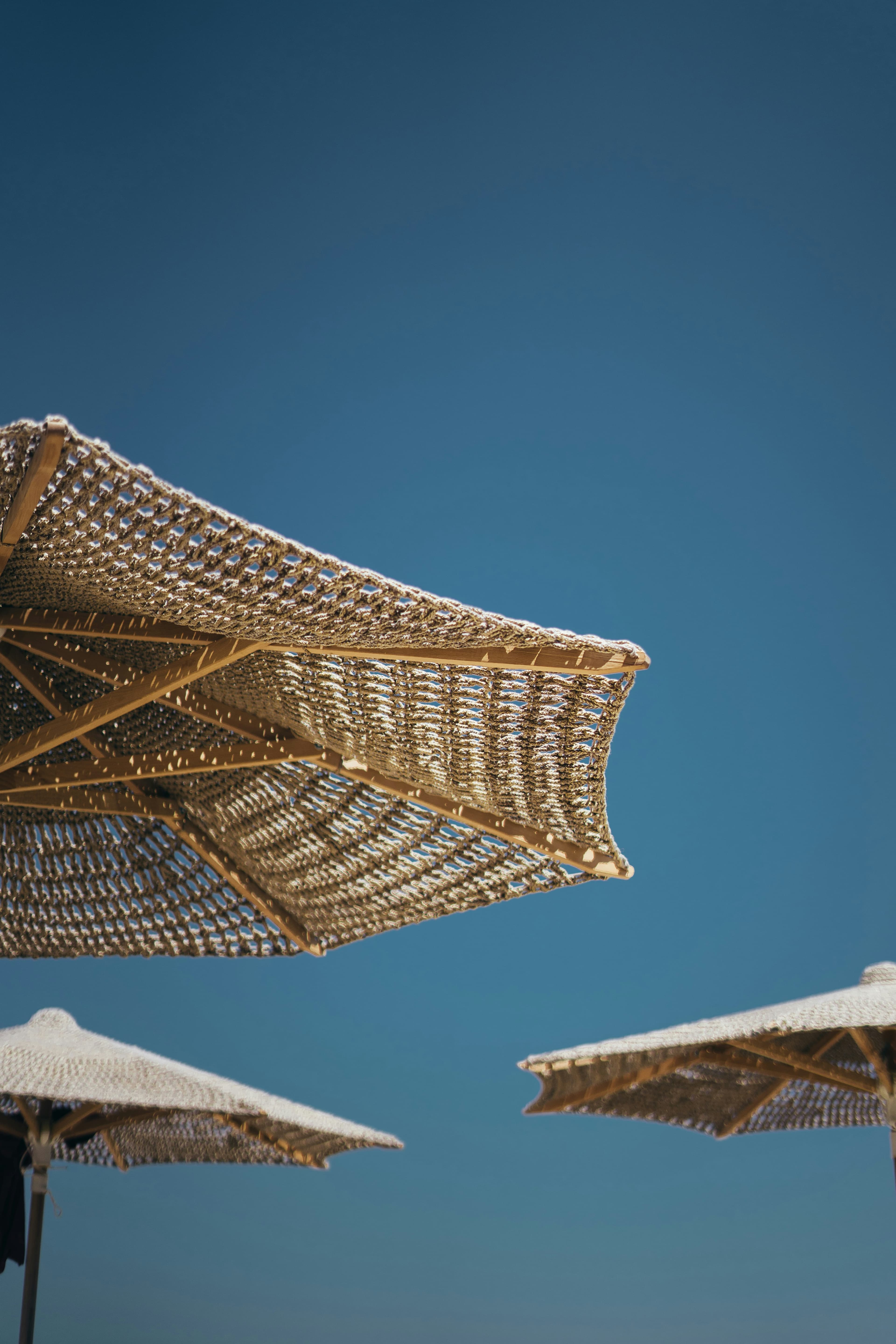 Saint-Tropez: Glamor & Mediterranean Art de Vivre curated by Simona Ispas