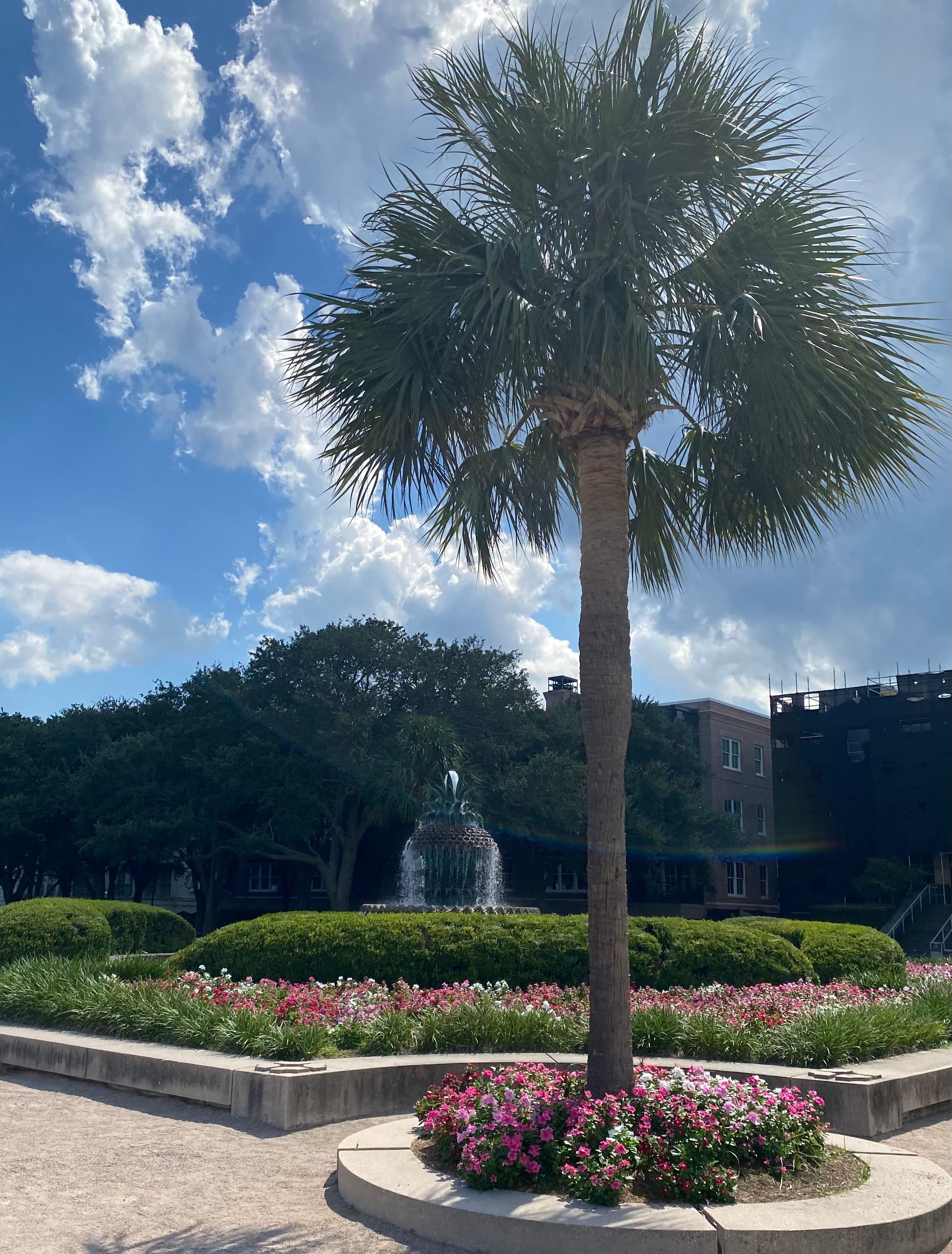 Charleston & Folly Beach: A 3-Day Coastal Journey curated by Kim Wortman