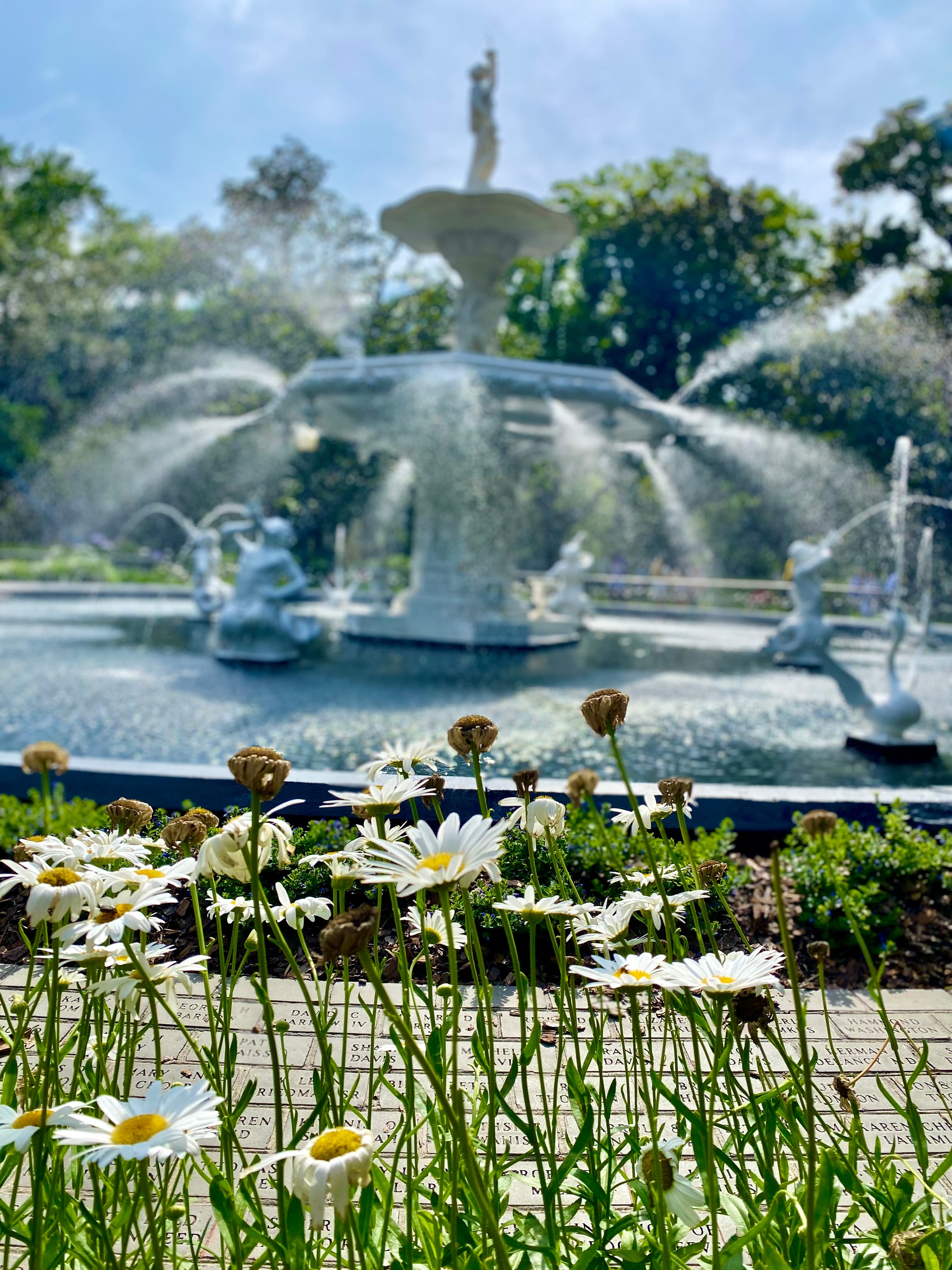 Savannah, Georgia: A Mother-Daughter Weekend Getaway curated by Melinda Gers