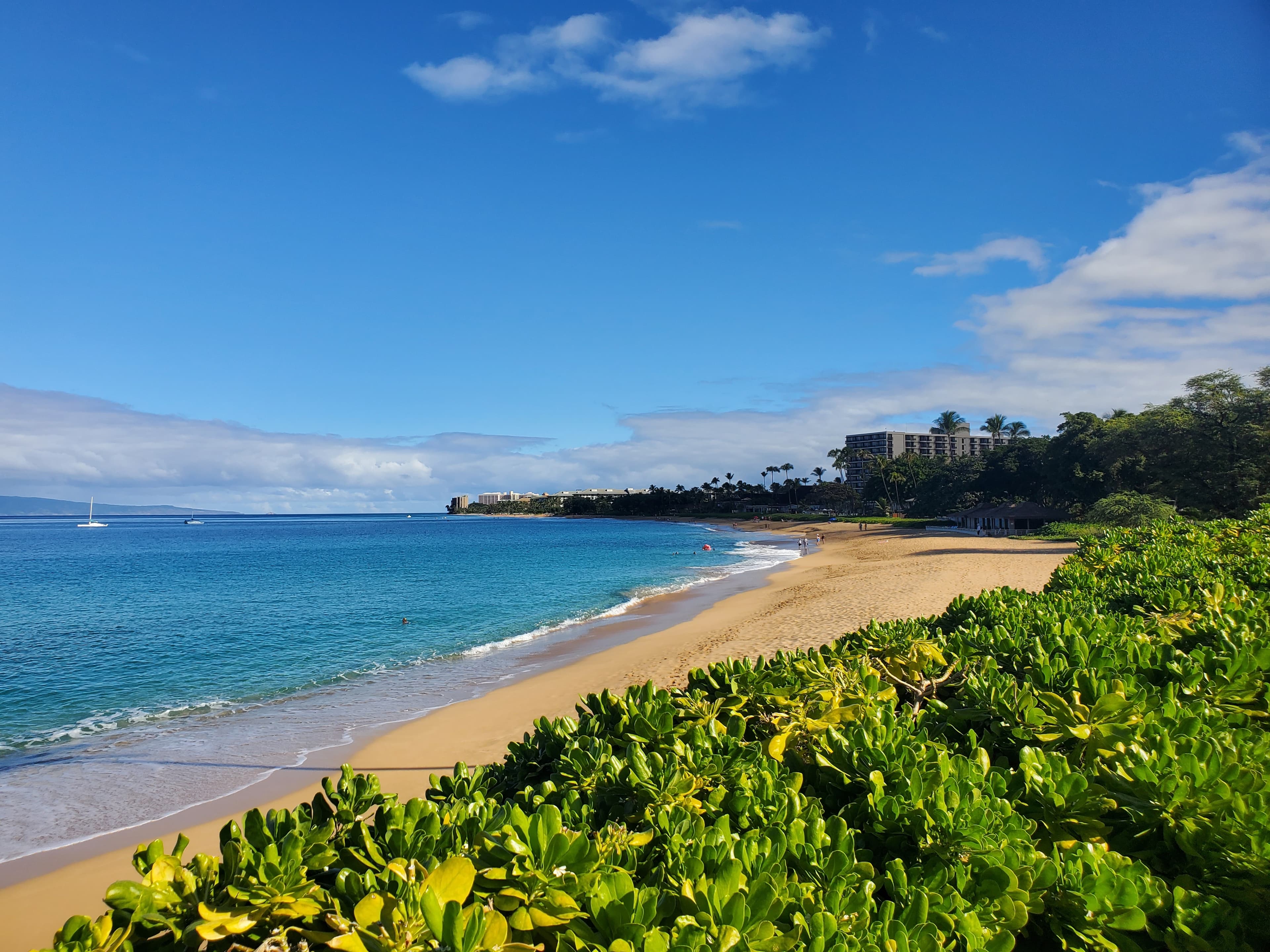 A Week in Lahaina: The Ultimate Maui Adventure curated by Jennifer Klingner